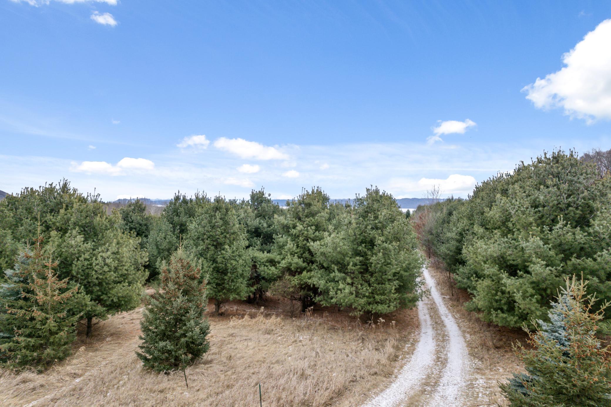 0 Cottonwood Lane East Parcel
