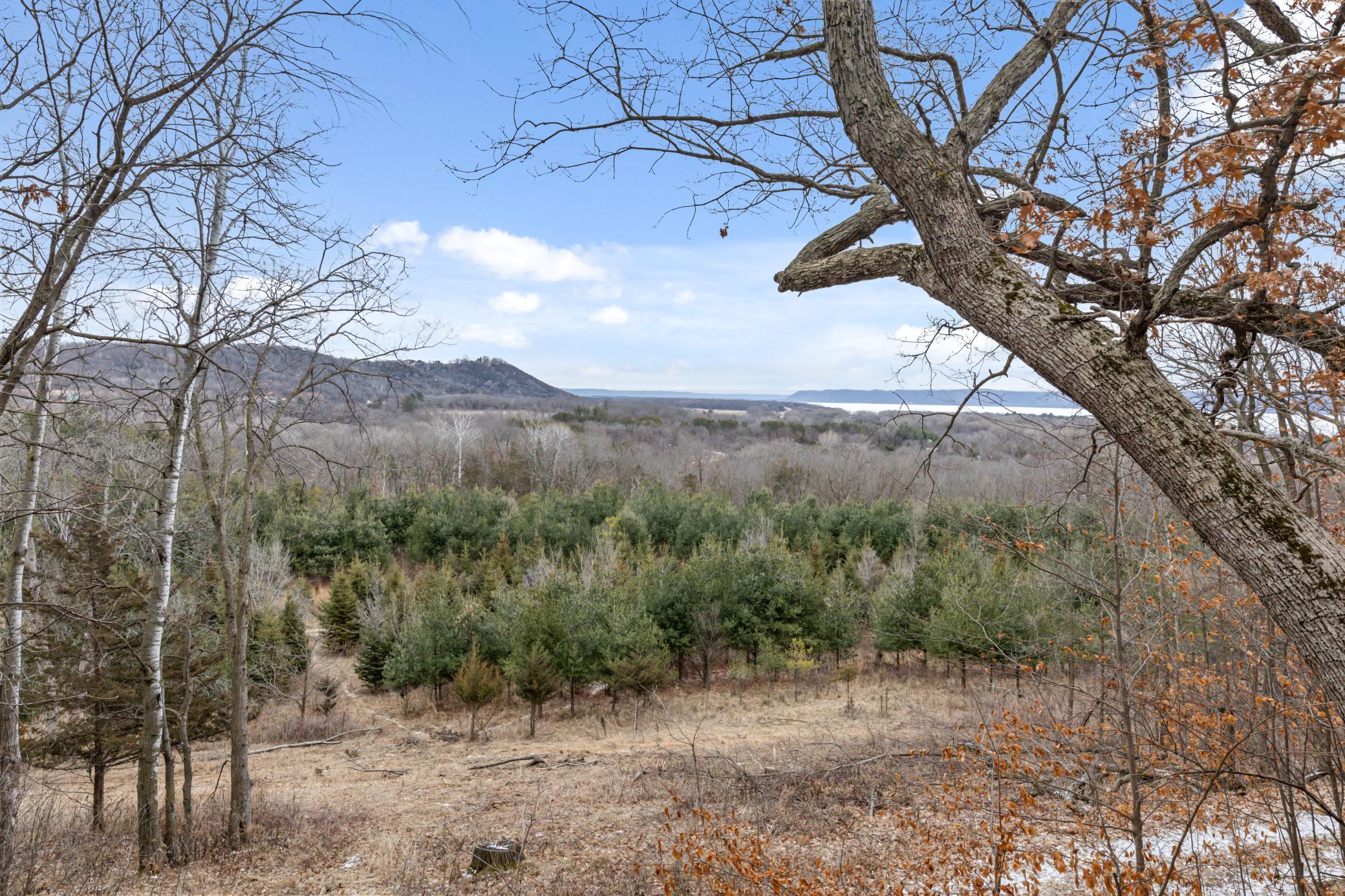 0 Cottonwood Lane East Parcel