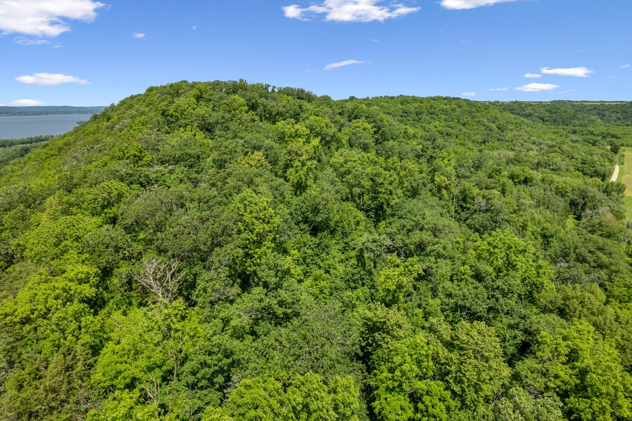 0 Cottonwood Lane East Parcel