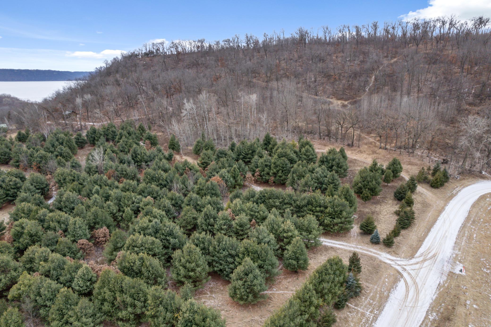 0 Cottonwood Lane East Parcel