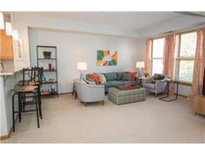 575 N 1st Street Unit: 301