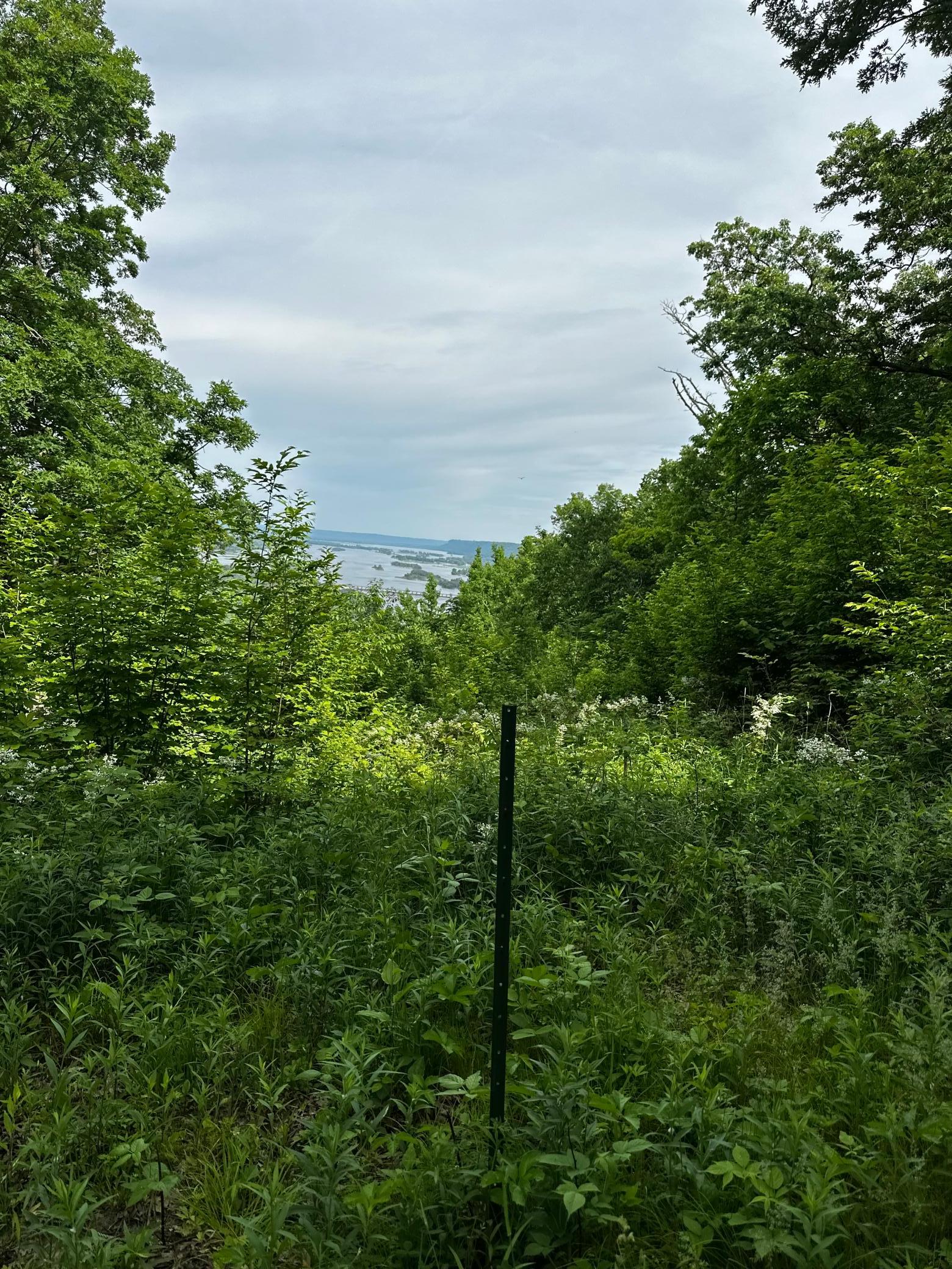 Lot 1 Alma Hills