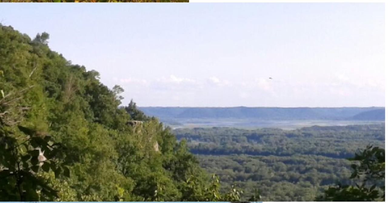 Lot 2 Alma Hills