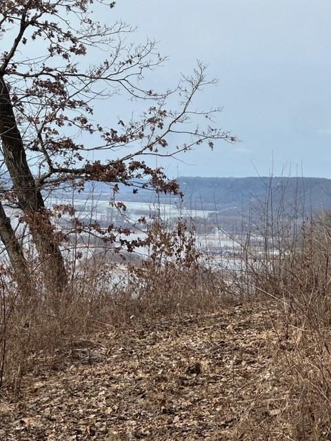 Lot 2 Alma Hills