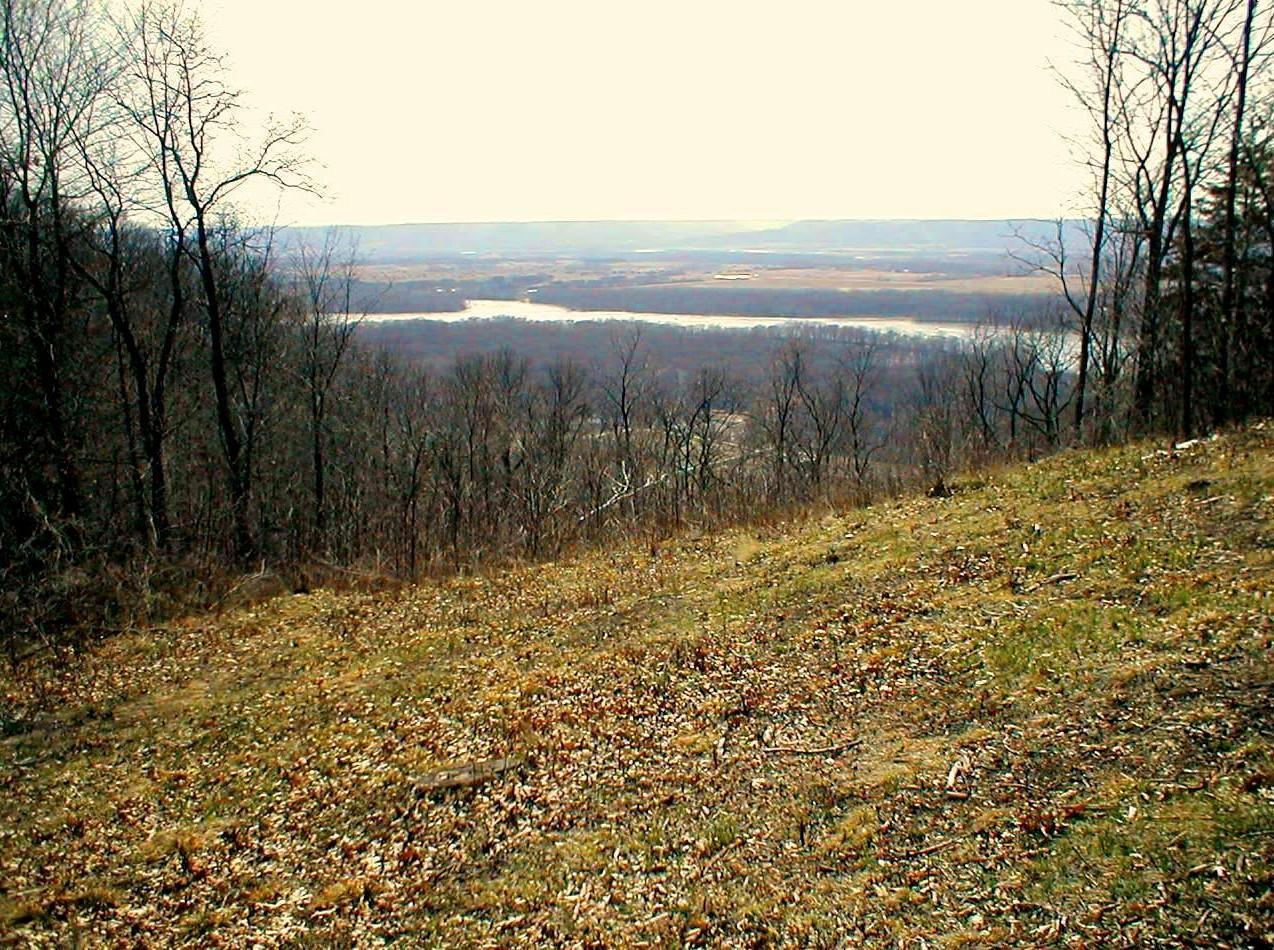 Lot 2 Alma Hills