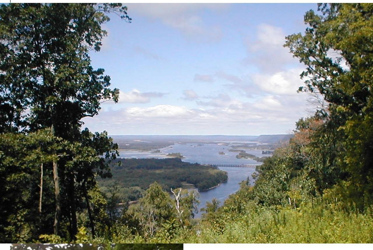 Lot 3 Alma Hills