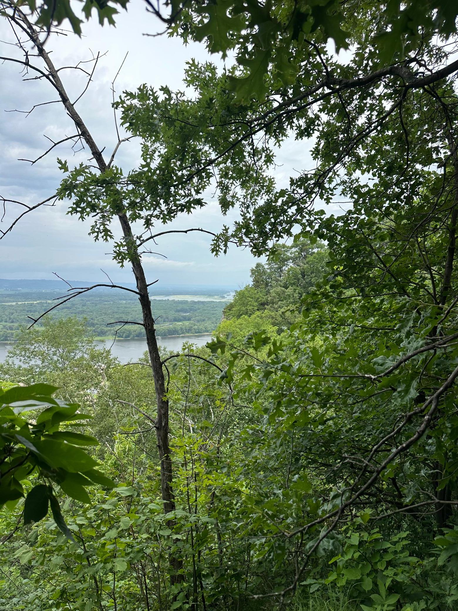 Lot 4 Alma Hills