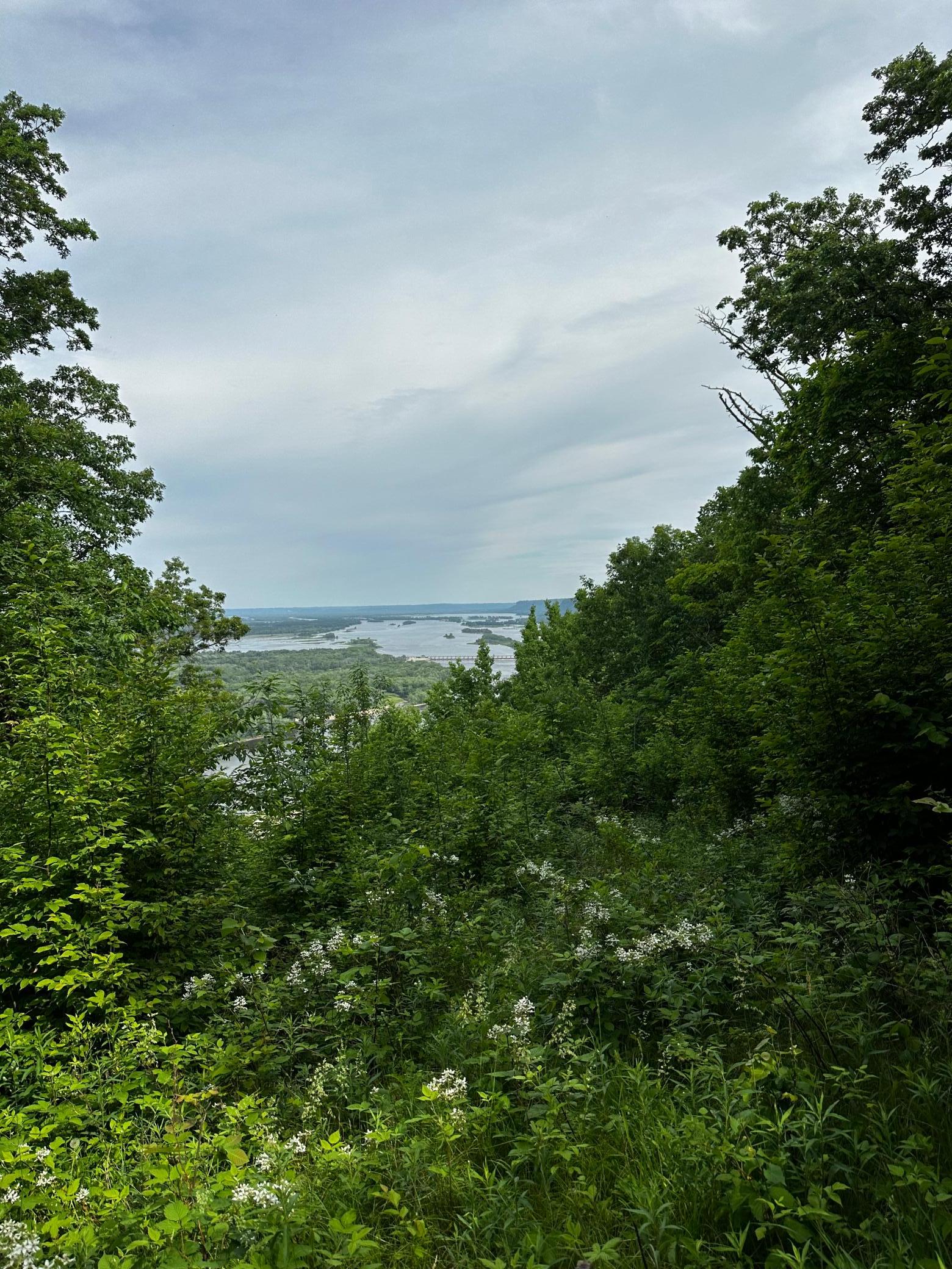 Lot 4 Alma Hills