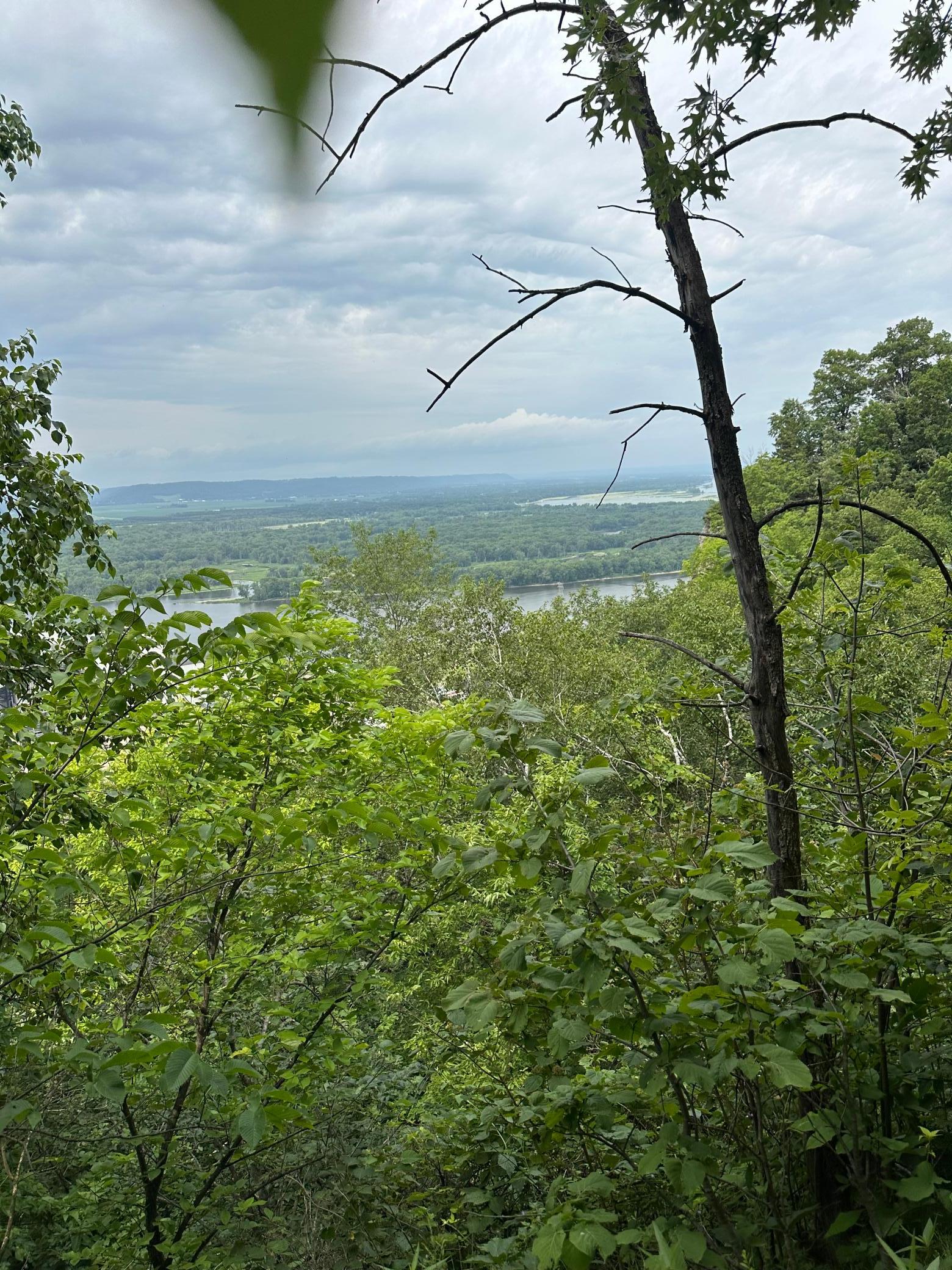 Lot 4 Alma Hills