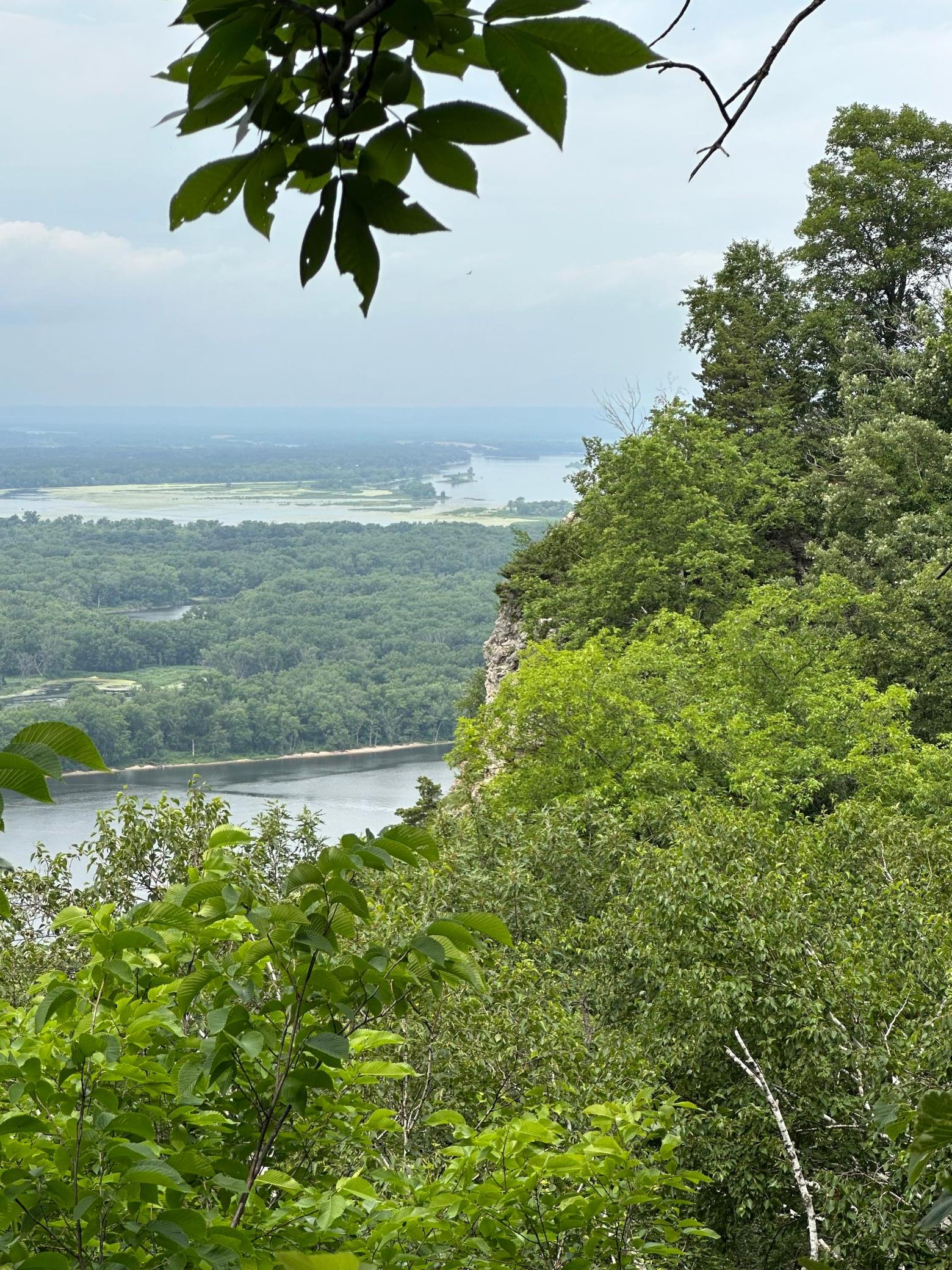 Lot 4 Alma Hills