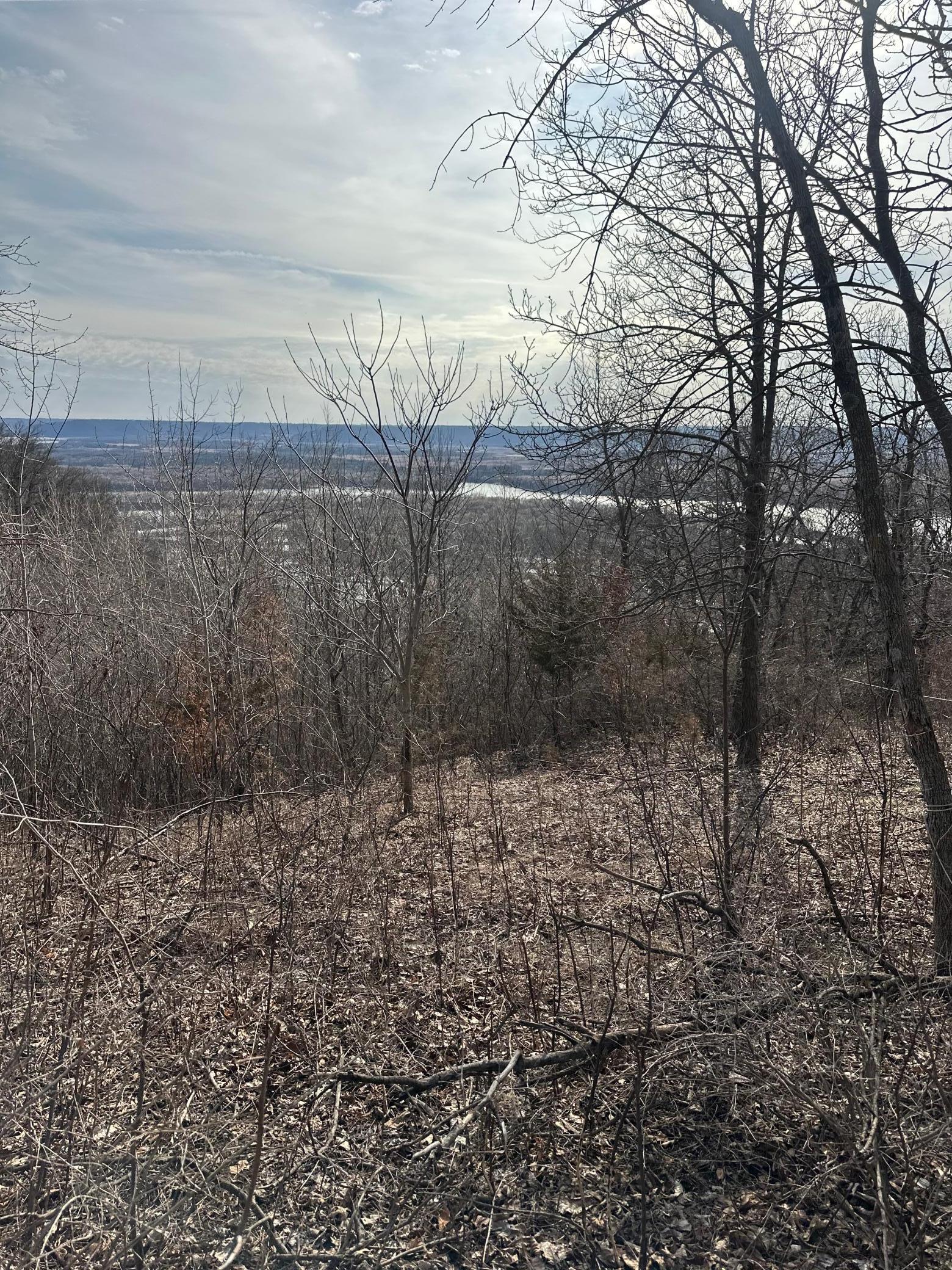 Lot 4 Alma Hills