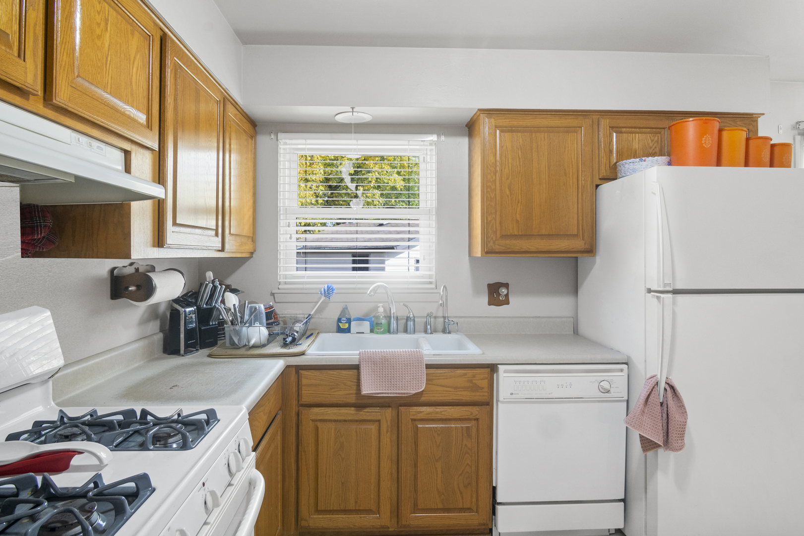 211 Basswood Drive