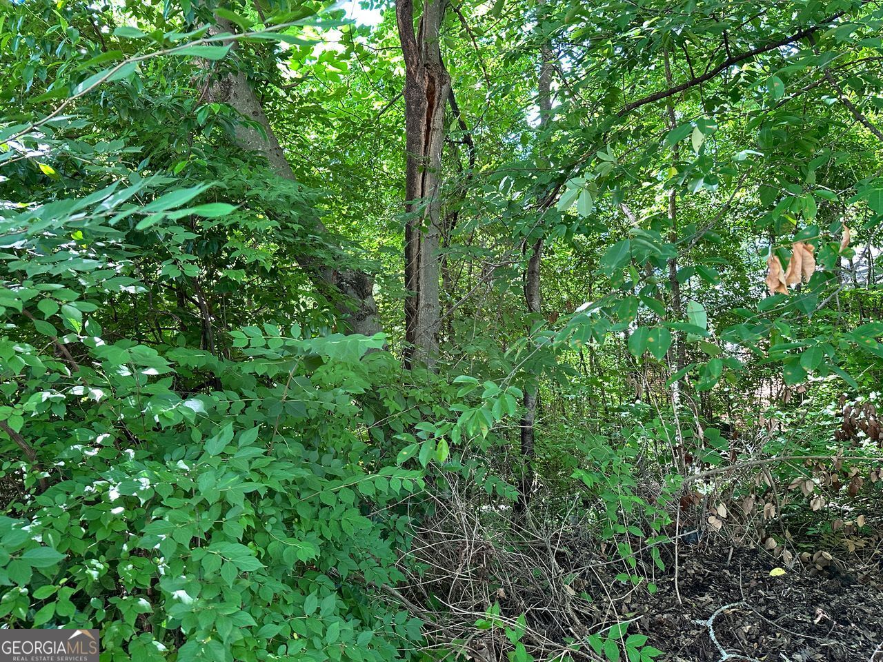 230 Glenhaven Avenue