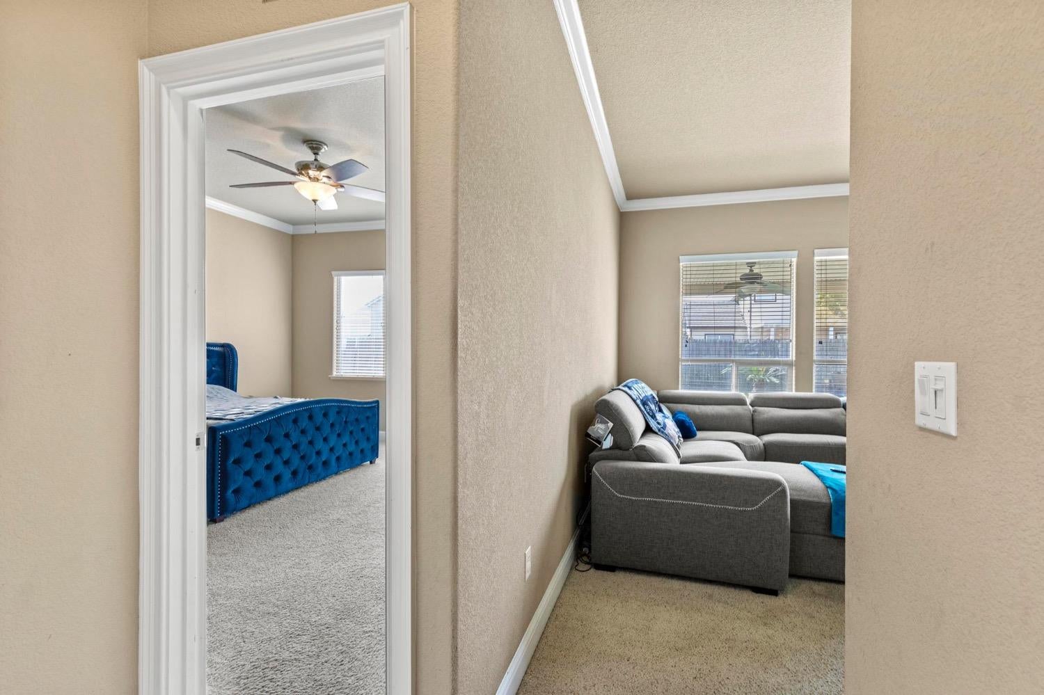 5582 Peach Tree Drive