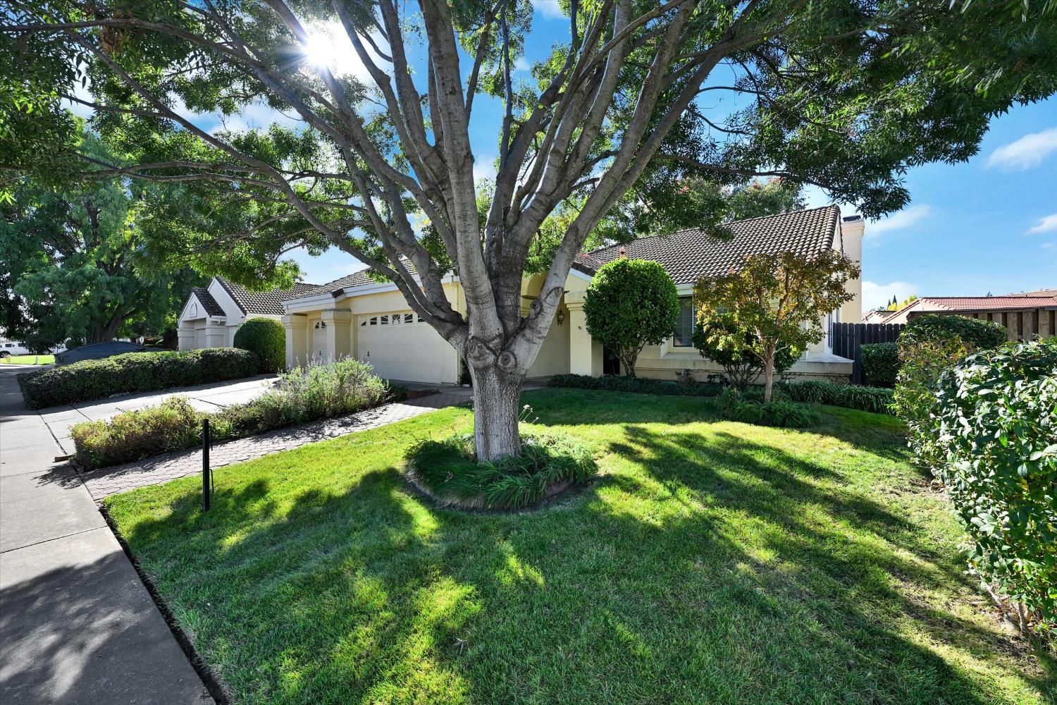 1512 Jamie Drive