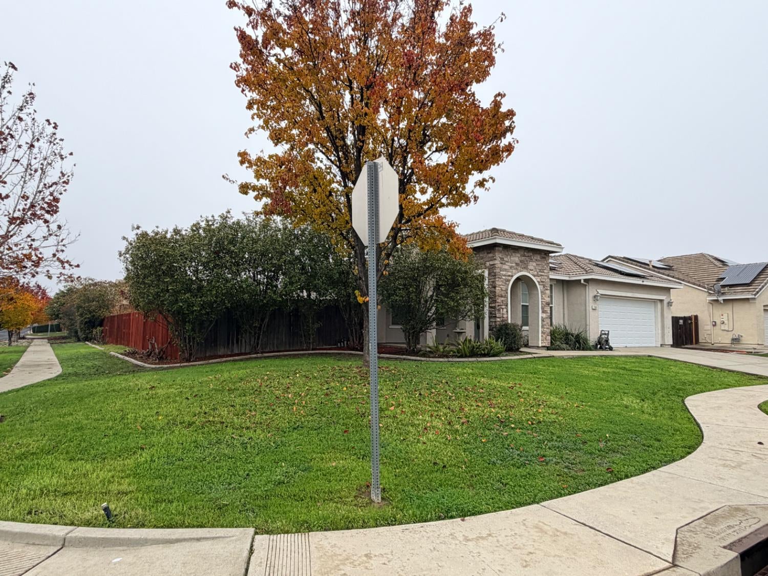 1161 Bronco Drive