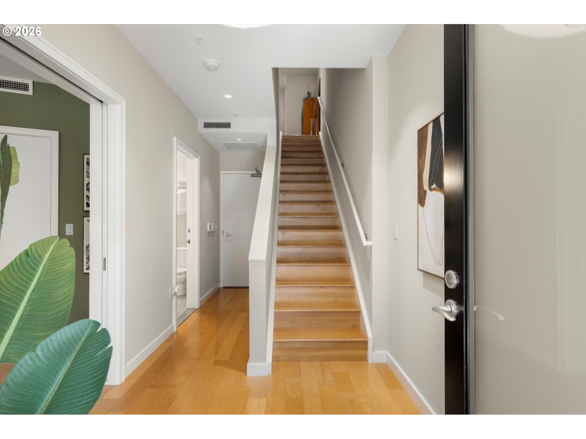 Entry hall with a central wood staircase, hardwood floors, and a large leafy plant.