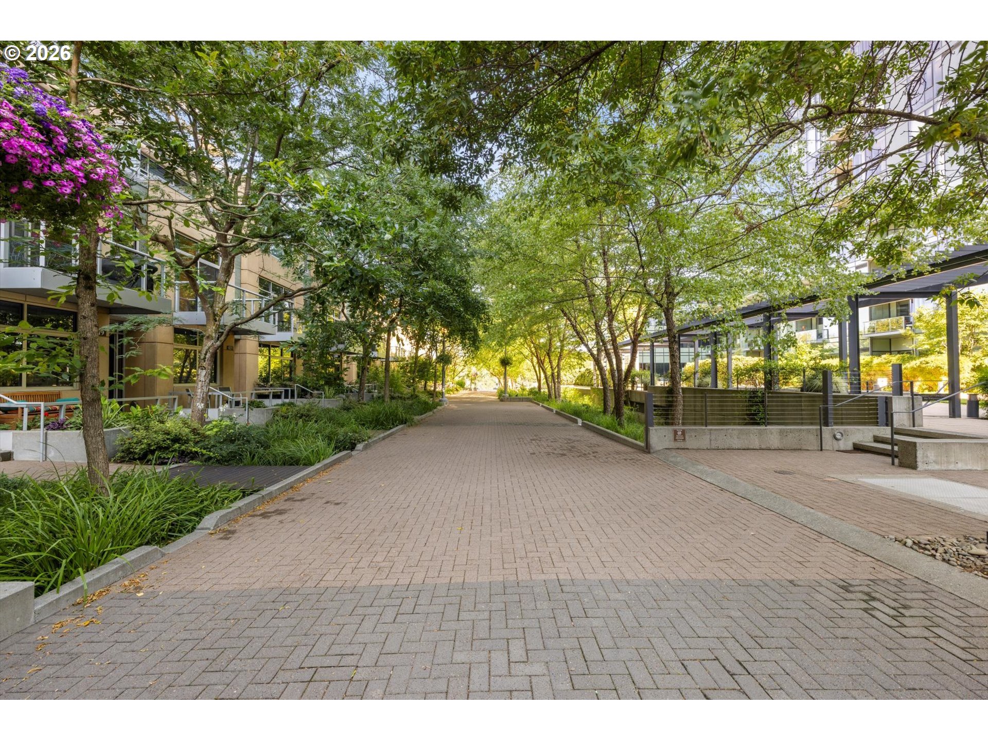Brick-paved walkway between residential buildings, shaded by mature trees and surrounded by landscaping.