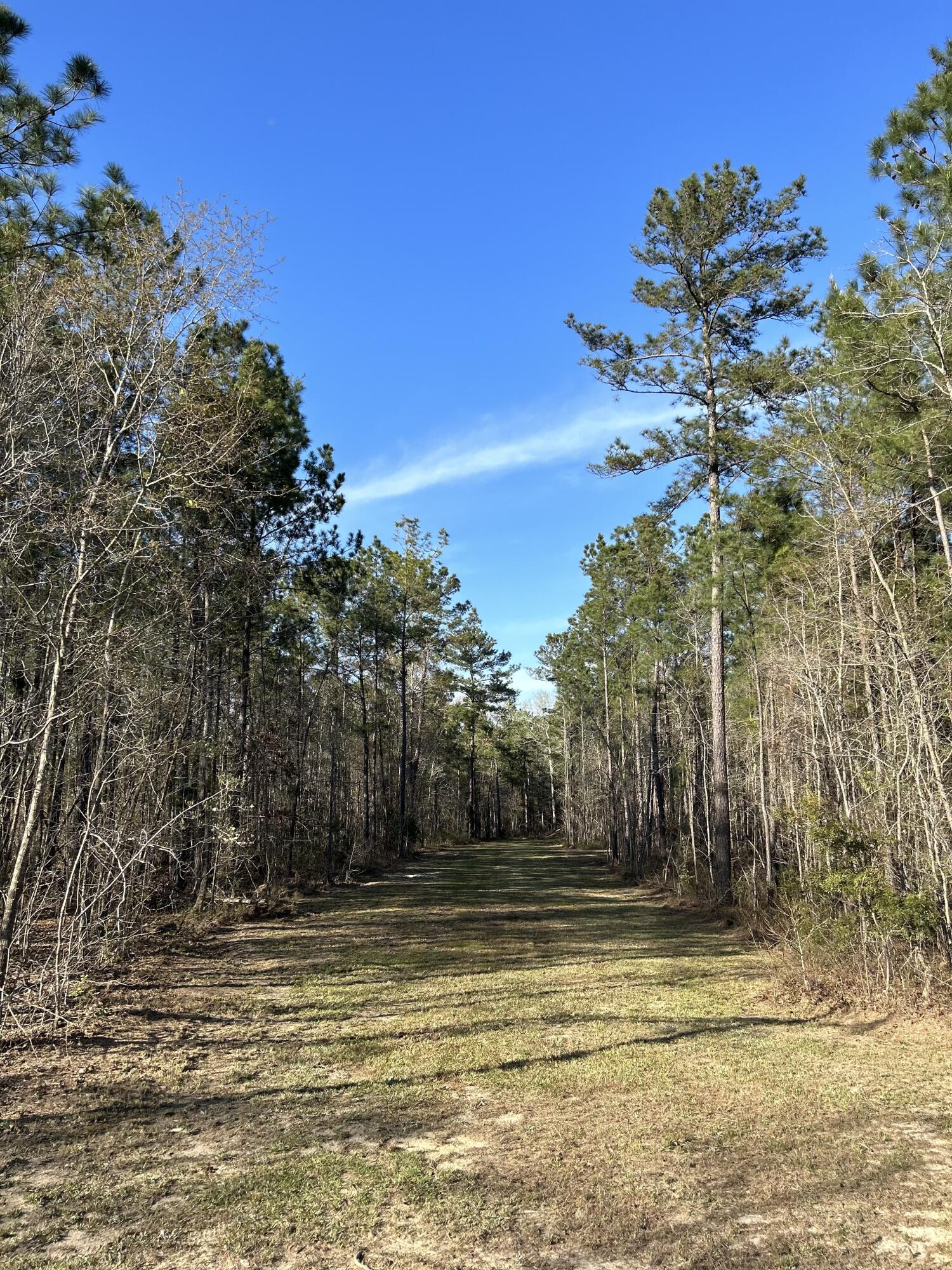 490 Falling Leaves Trail