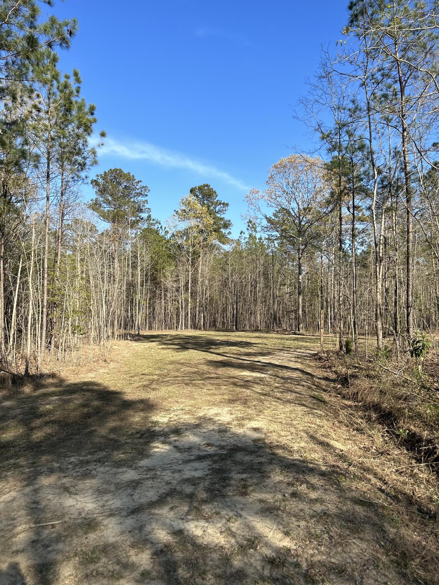 490 Falling Leaves Trail