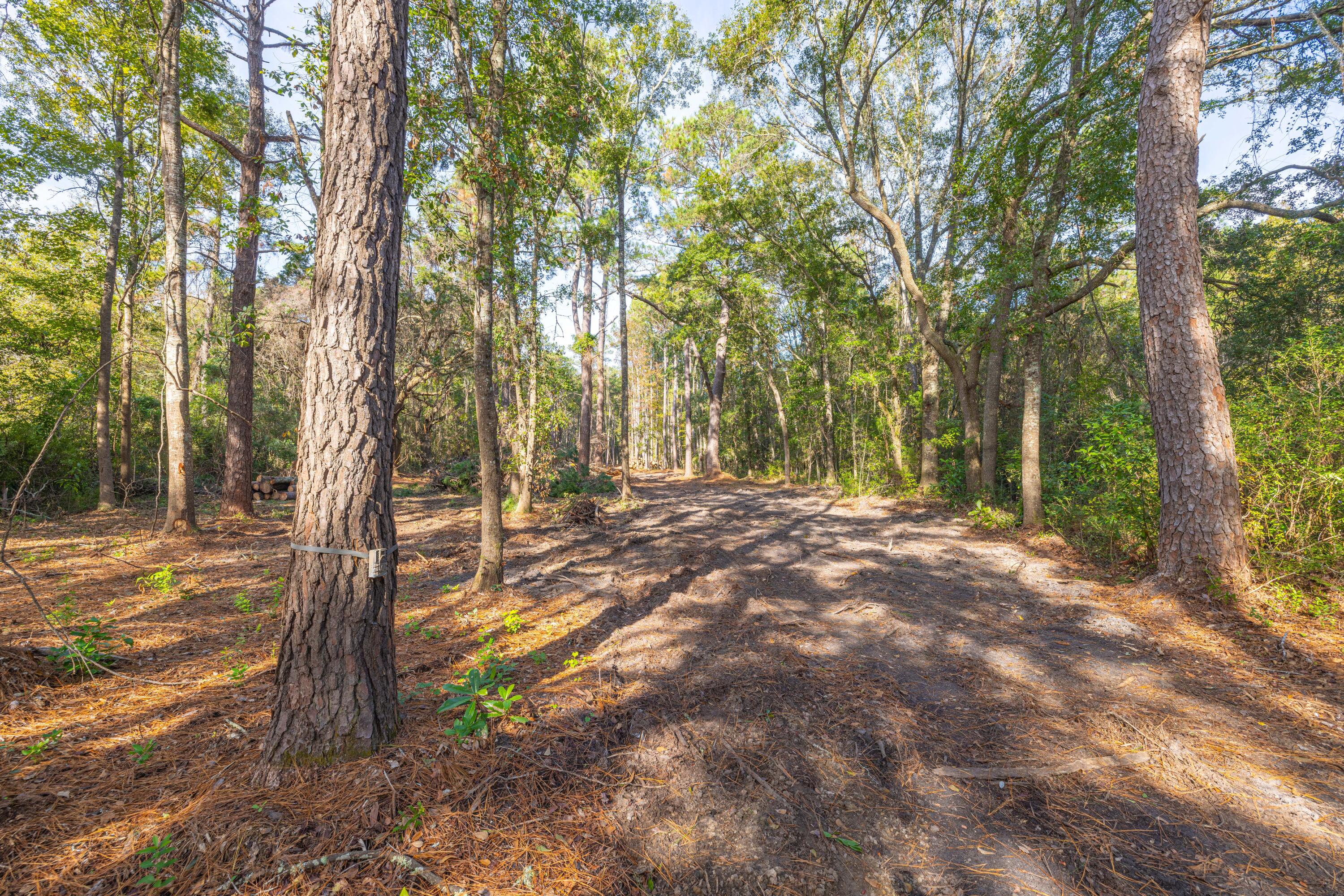 746 Dupre Road, McClellanville