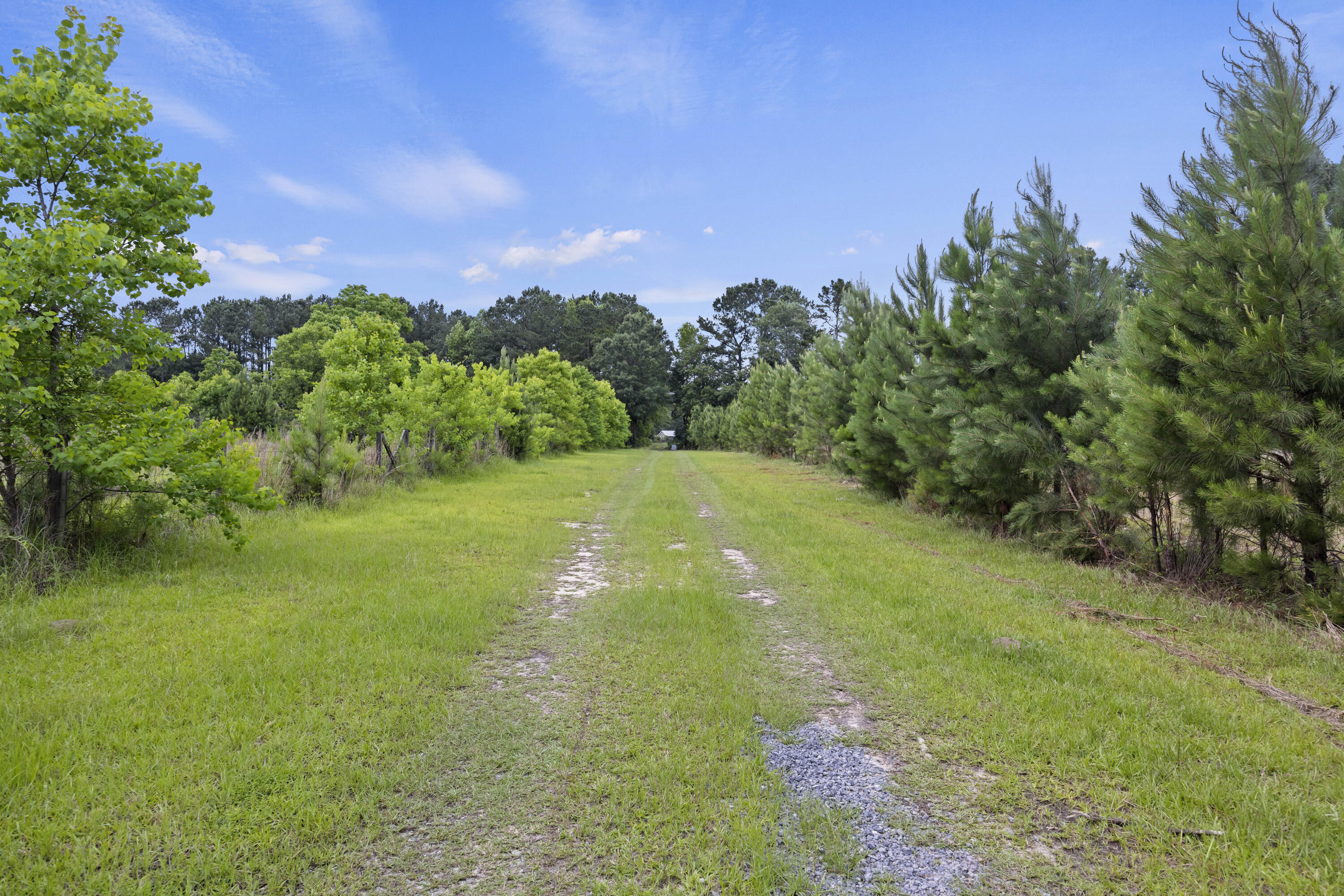191 Marion Woods Trail