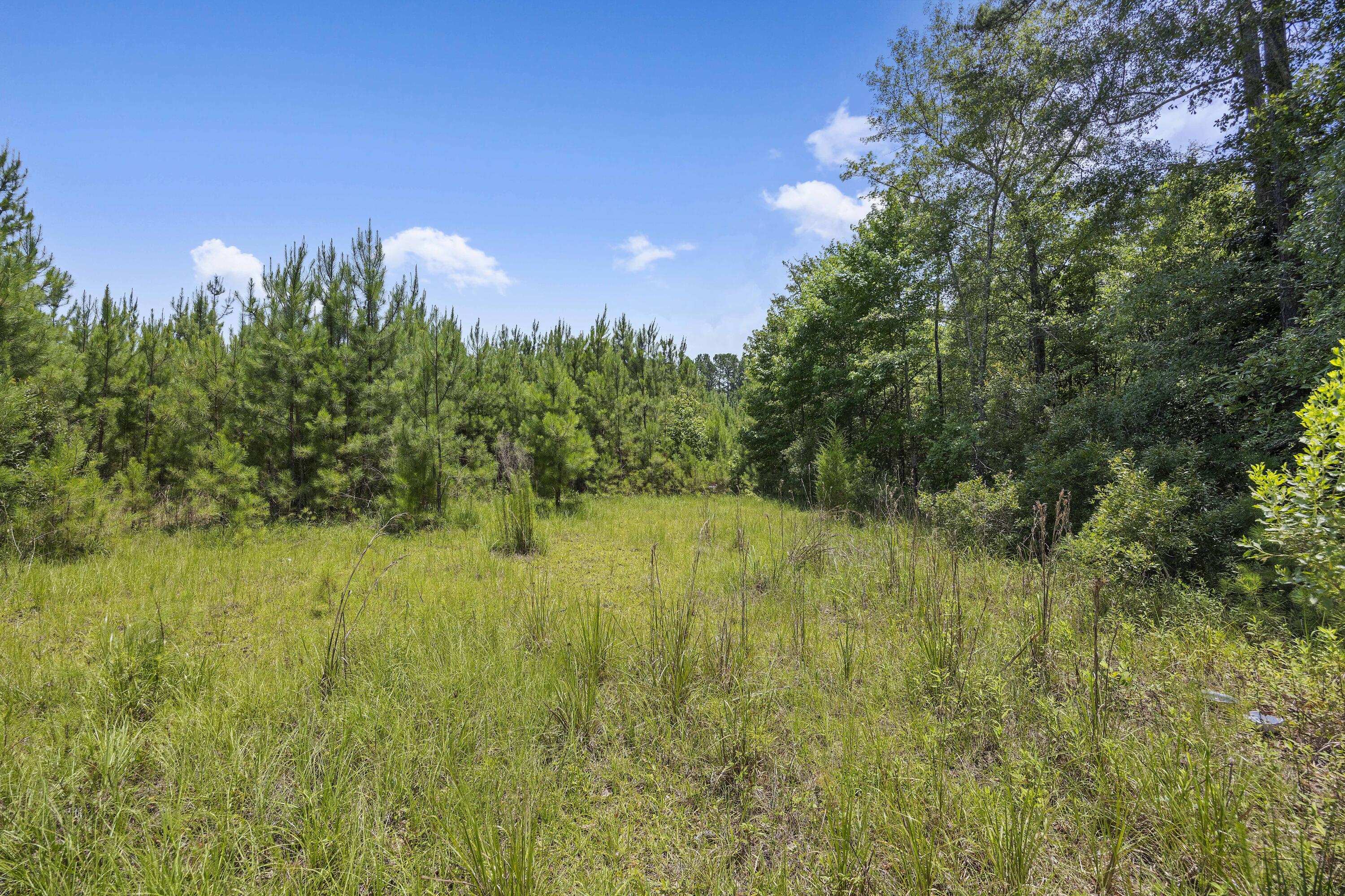 1667 Mudville Road