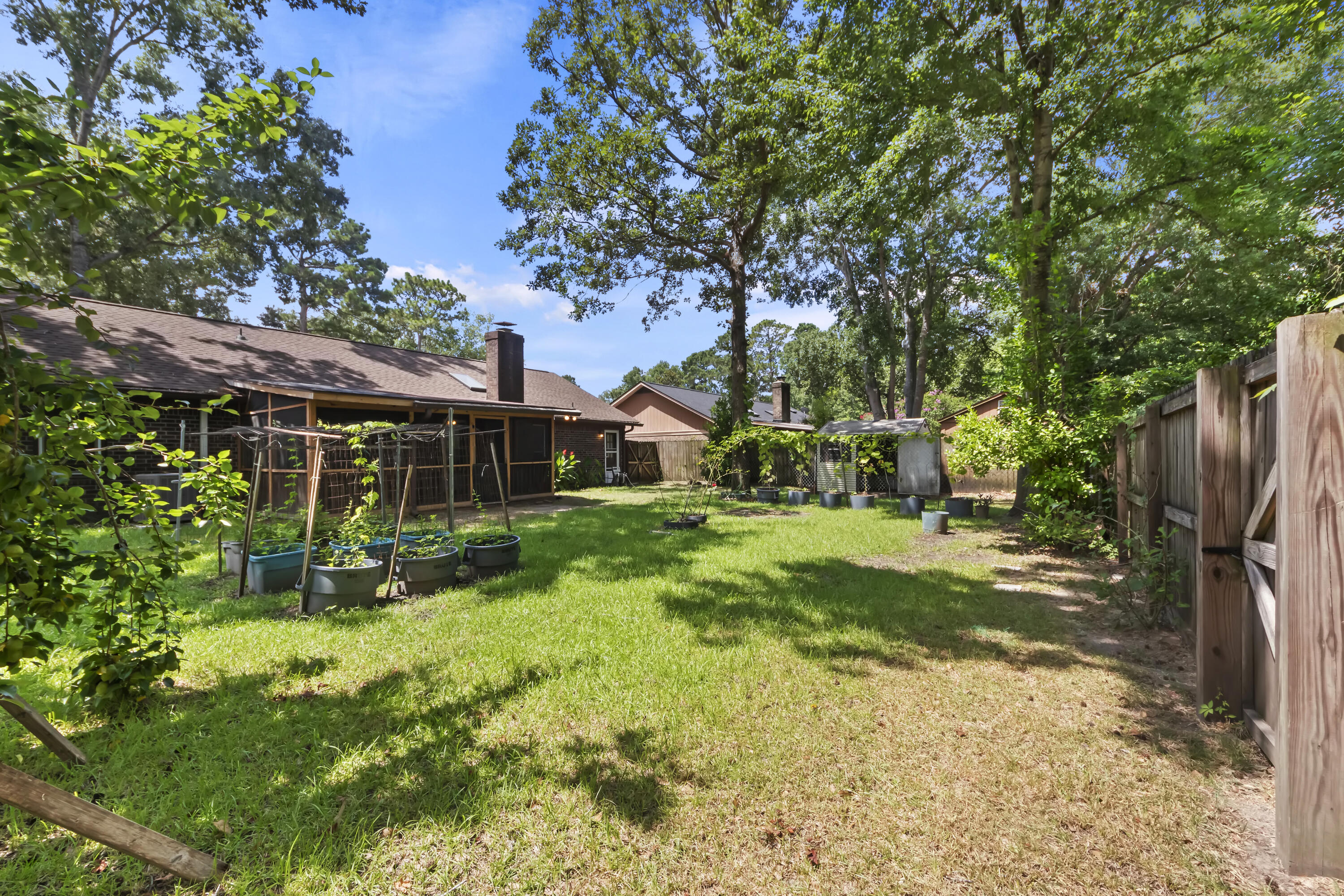 8213 N Split Oak