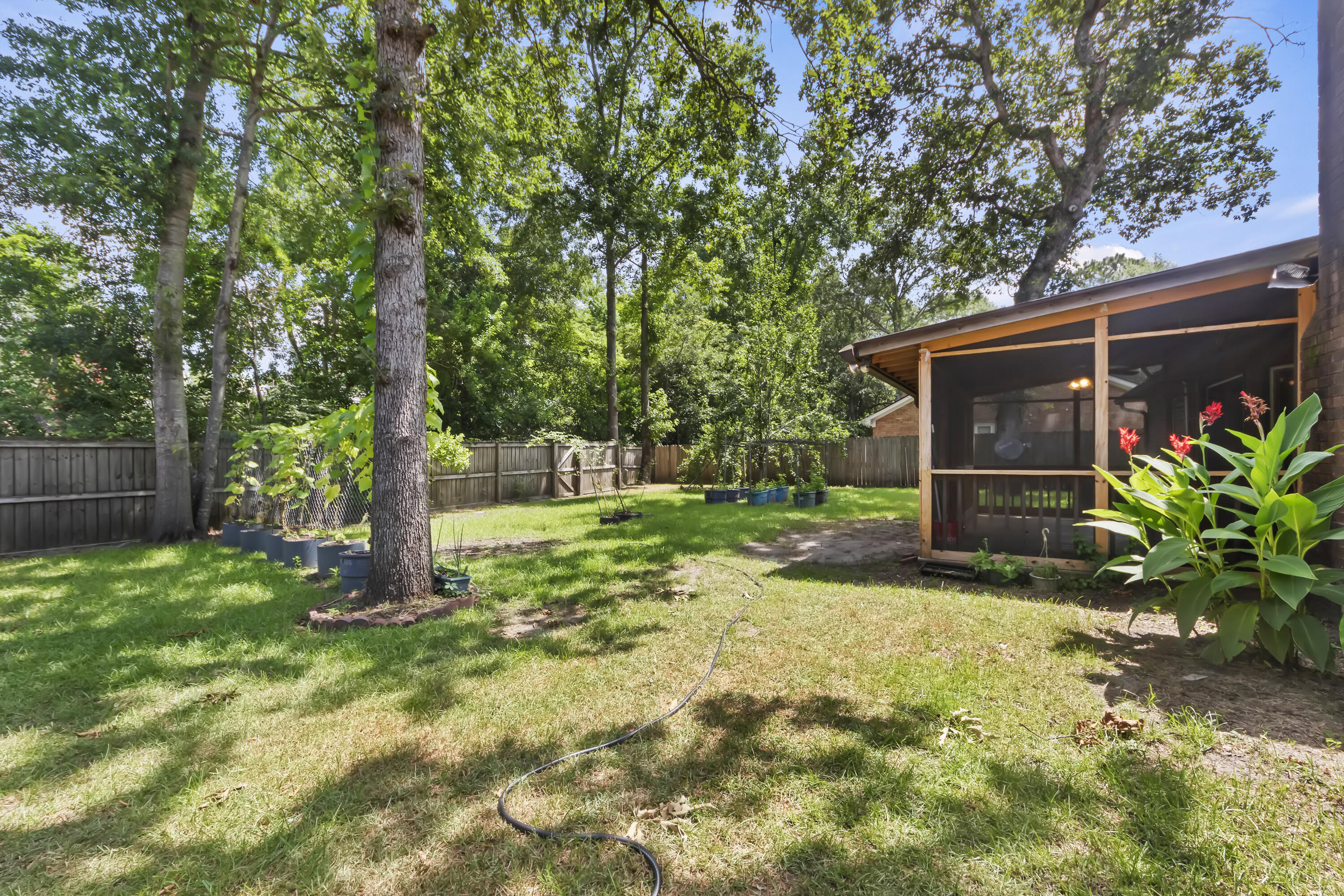 8213 N Split Oak