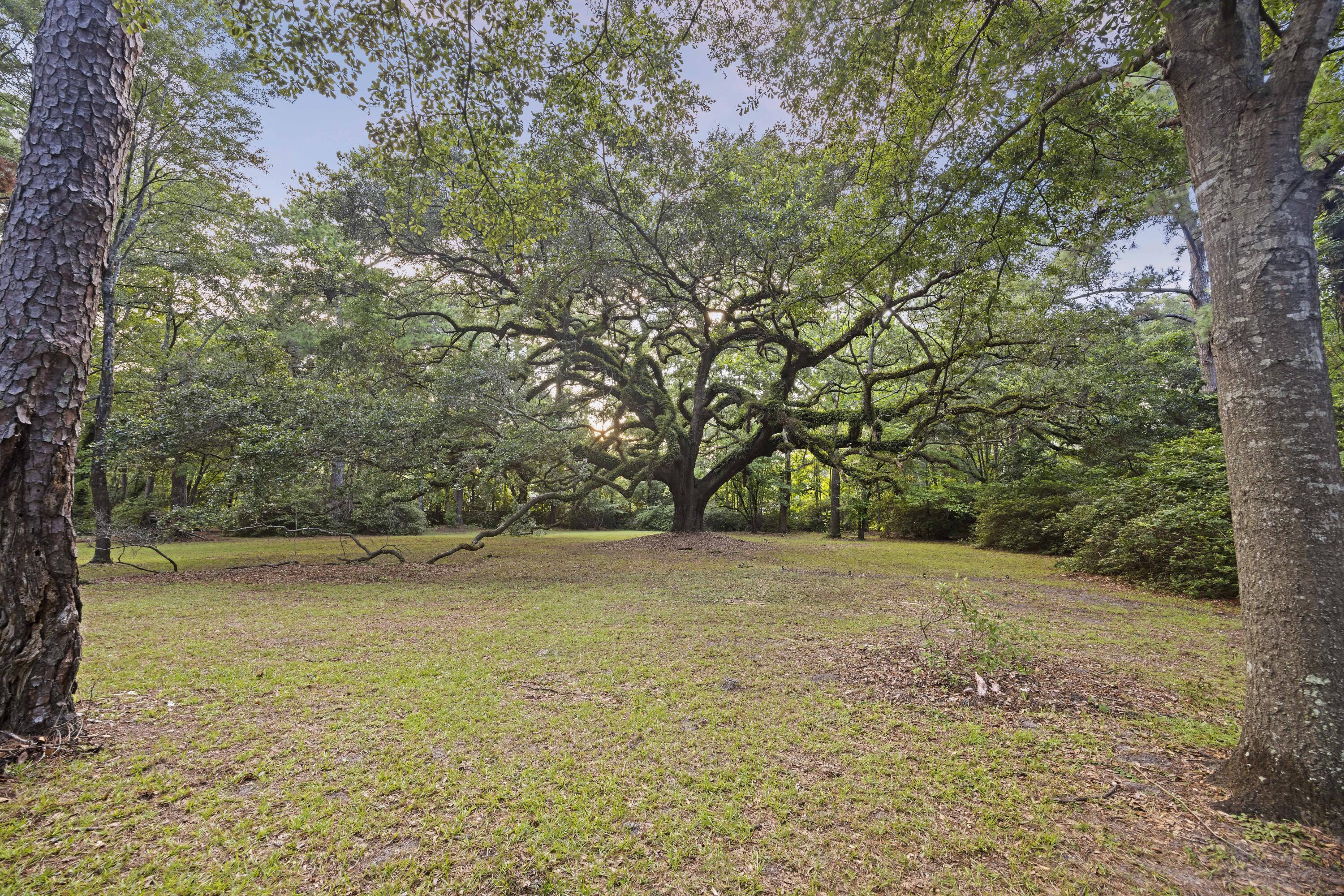 9875 Jamison Road