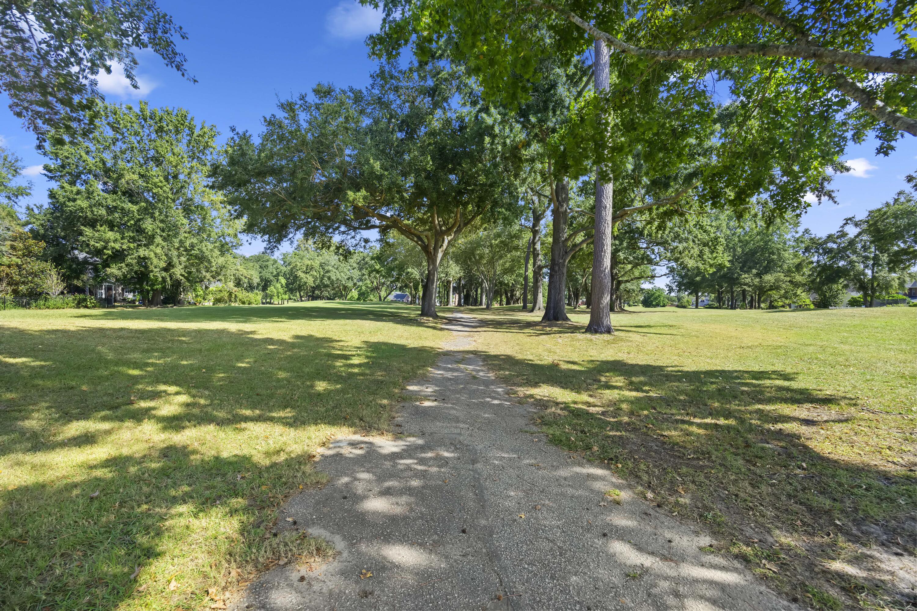 1338 Roma Road