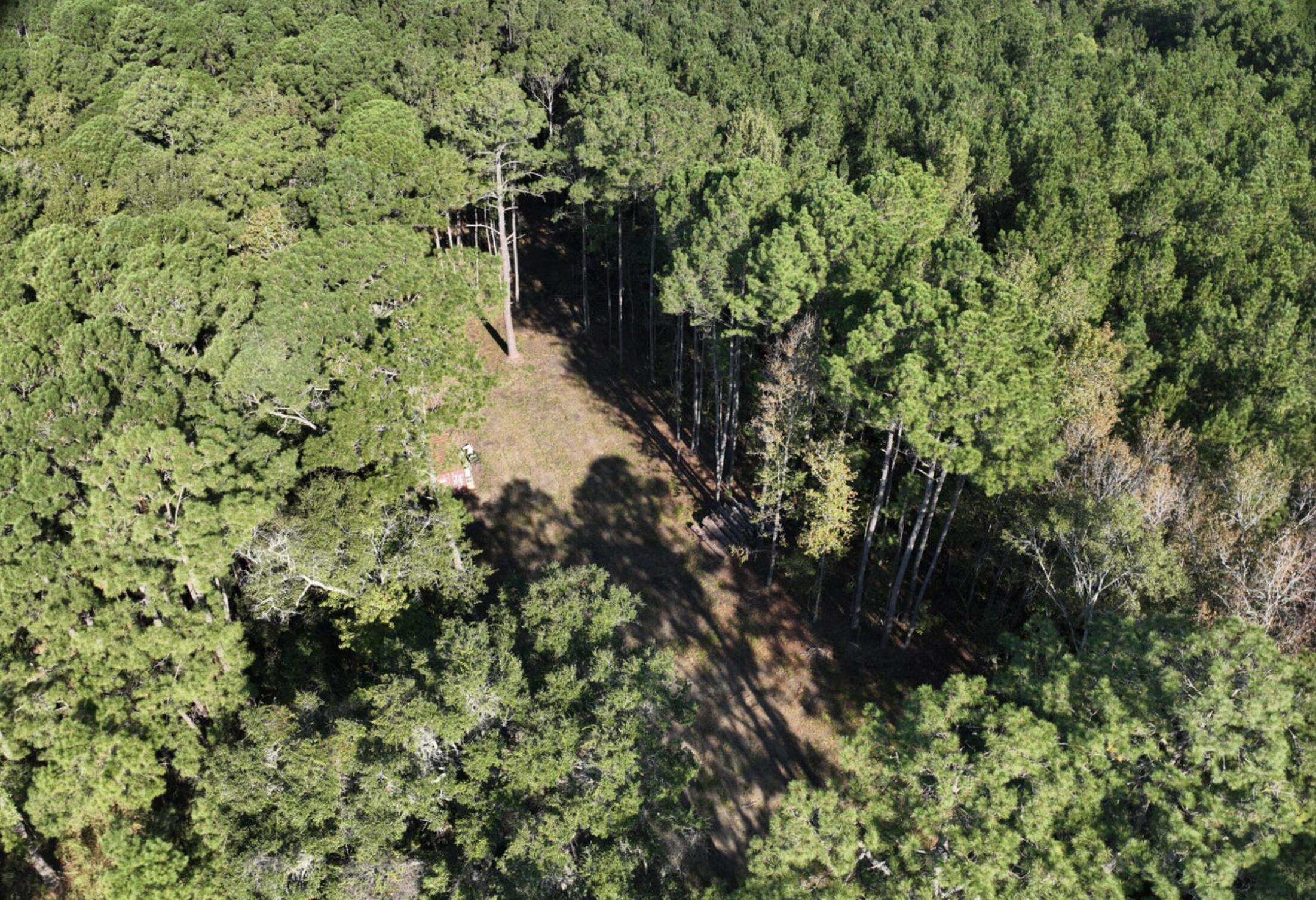 746 Dupre Road, McClellanville