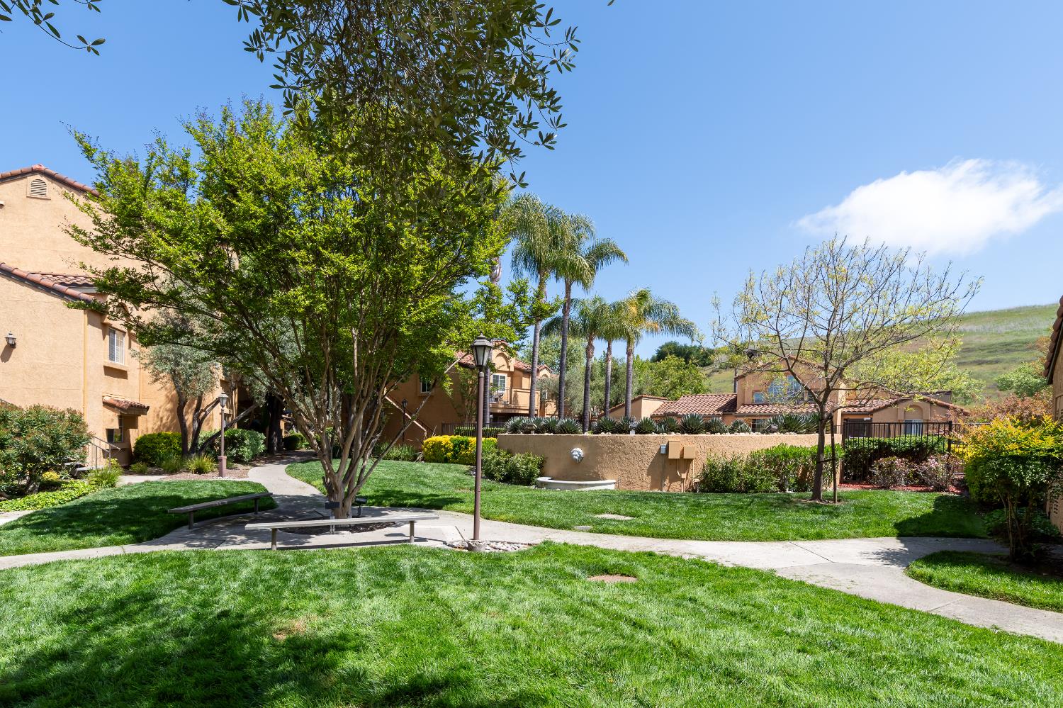 715 Watson Canyon Court 106