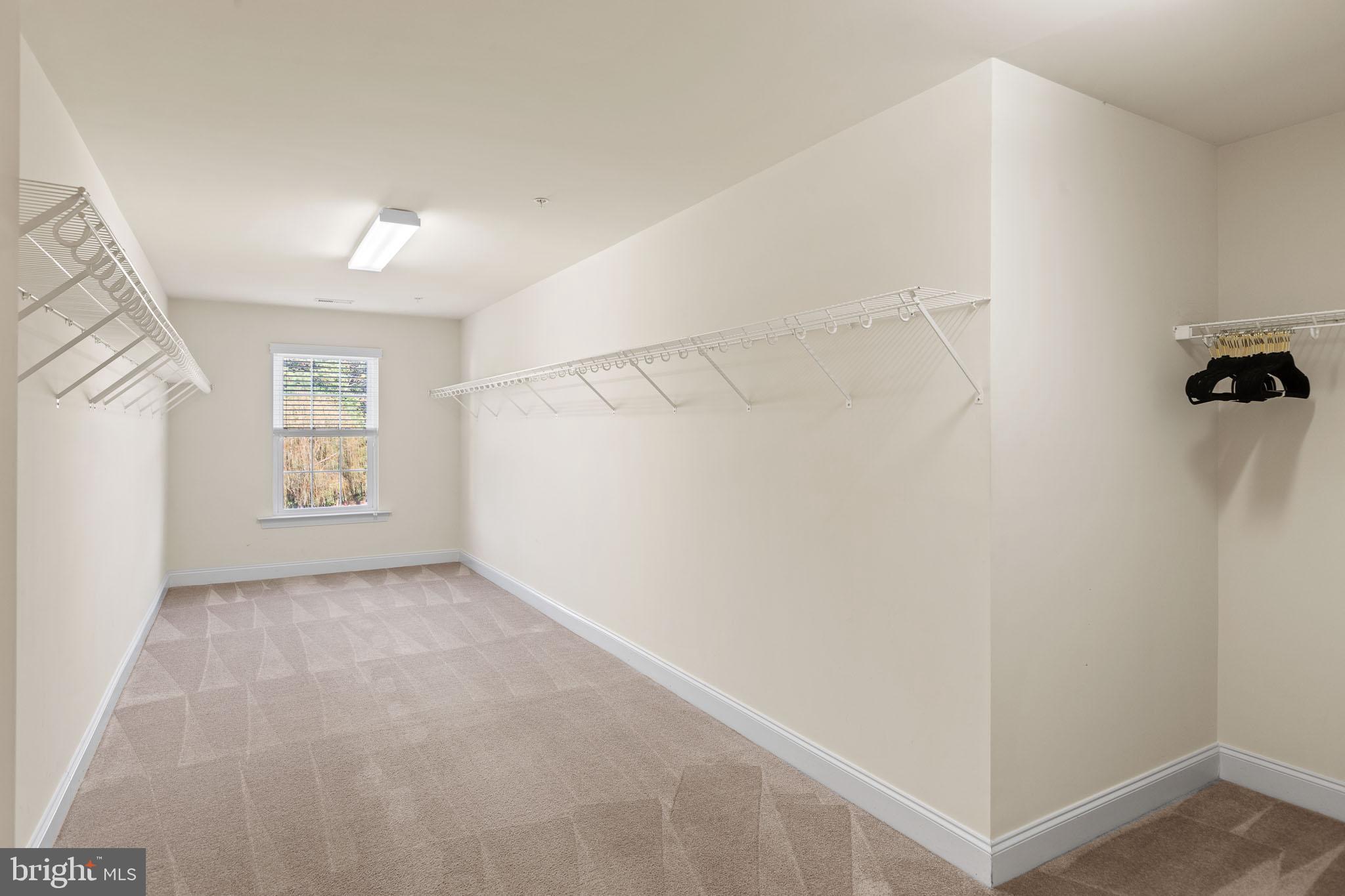 23024 HOLLOWAY COURT