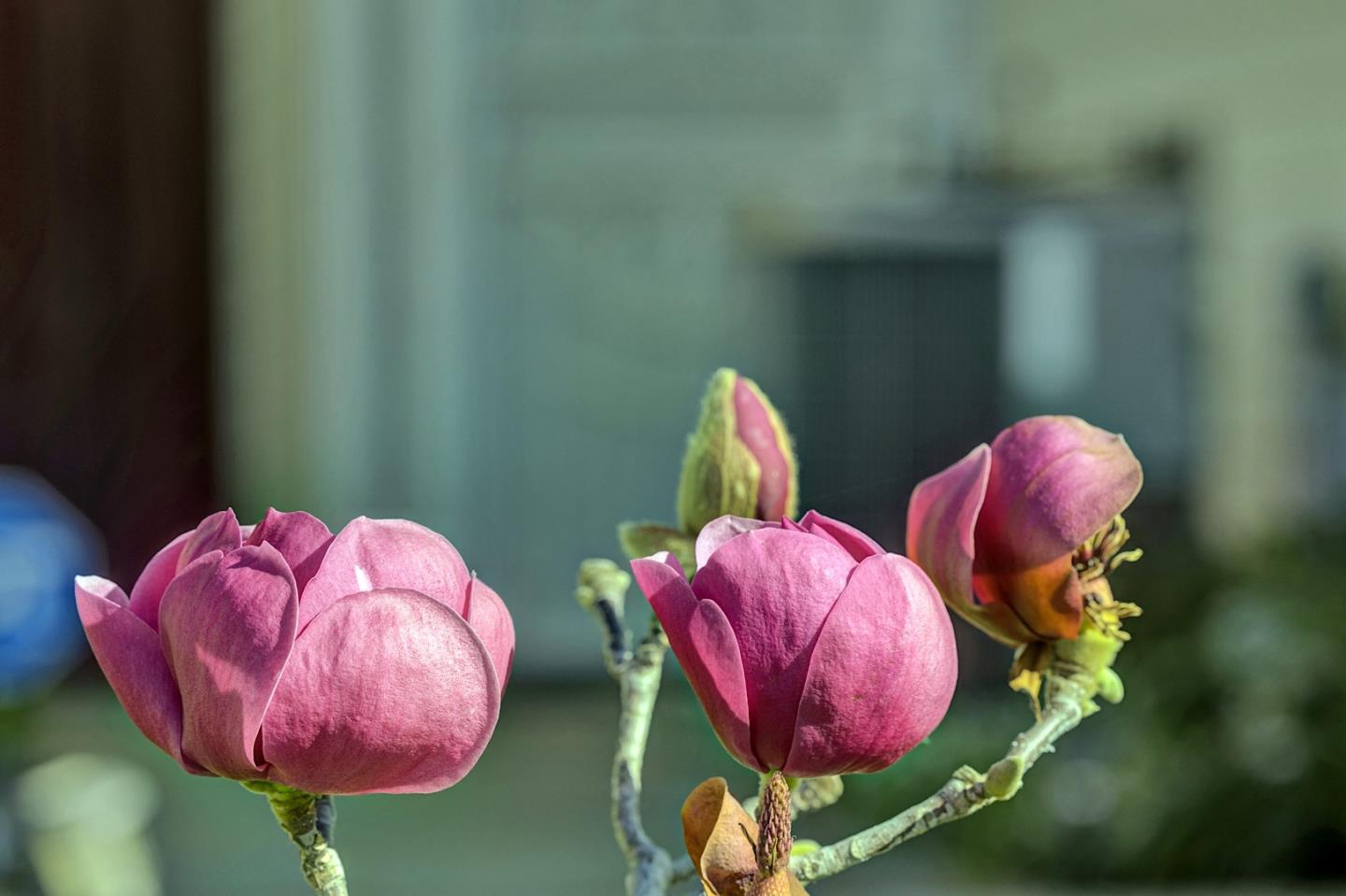 5254 Country Forge Lane