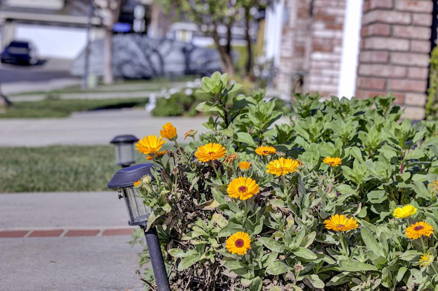 5254 Country Forge Lane