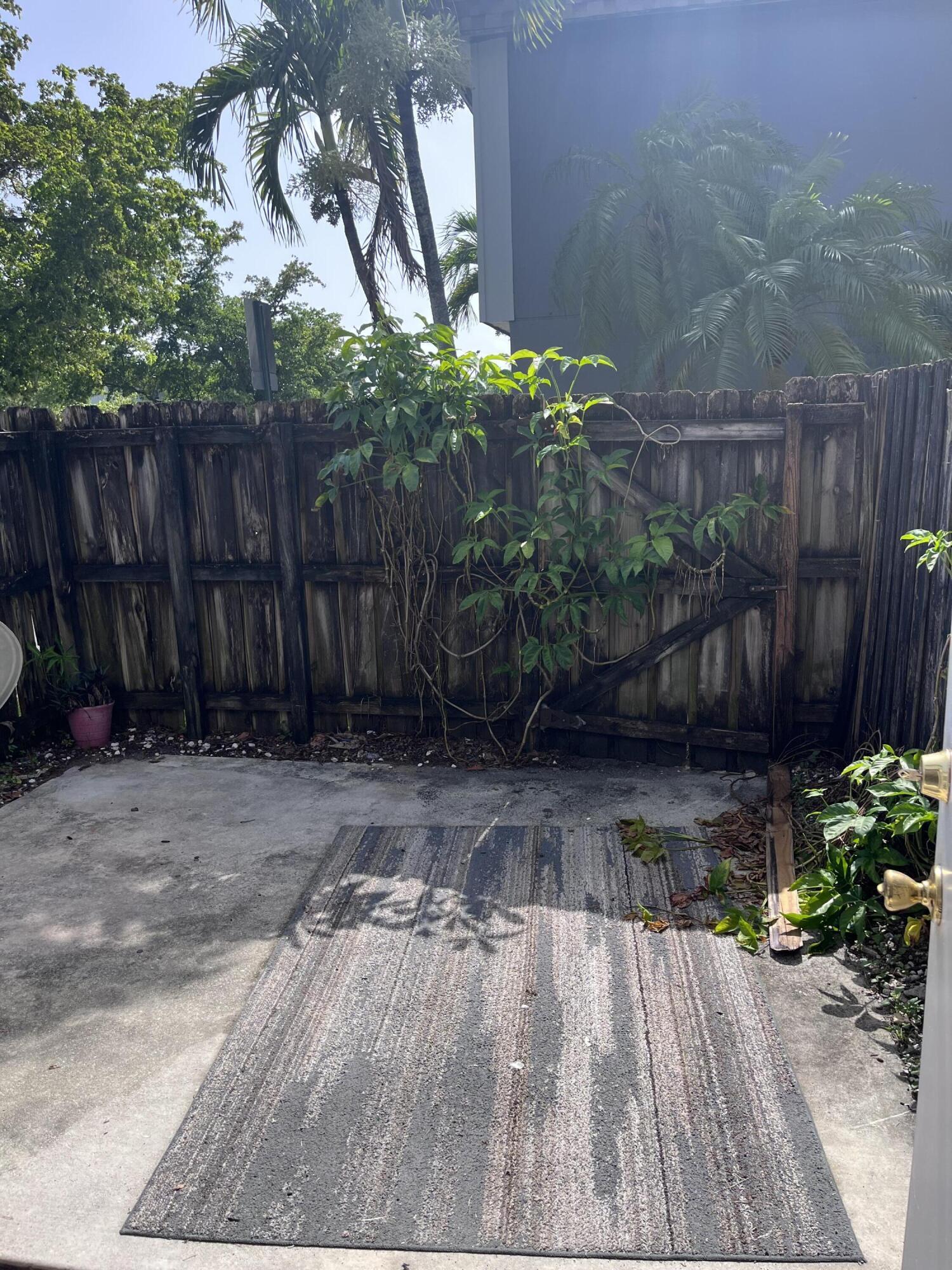 Concrete patio with a striped outdoor rug, vine-covered wooden fence, and tropical plants.