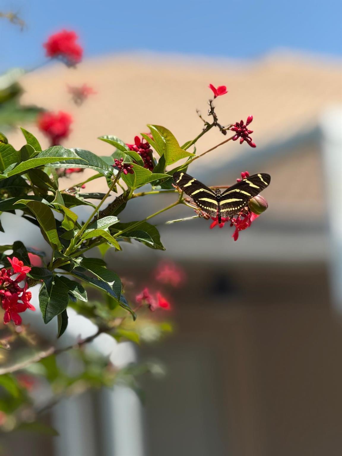 4174 Bahia Isle Circle