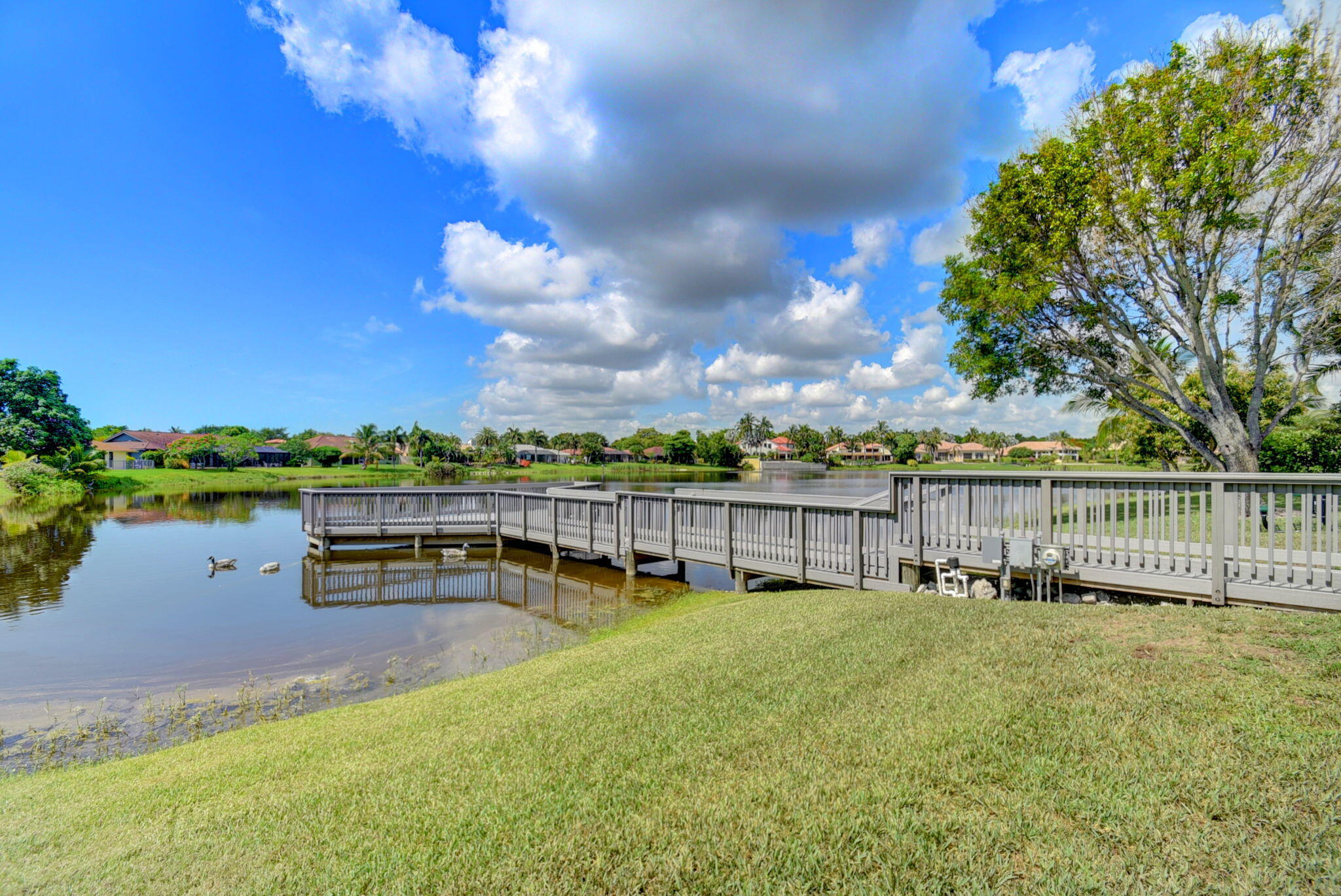 17414 Spring Tree Ln Lane