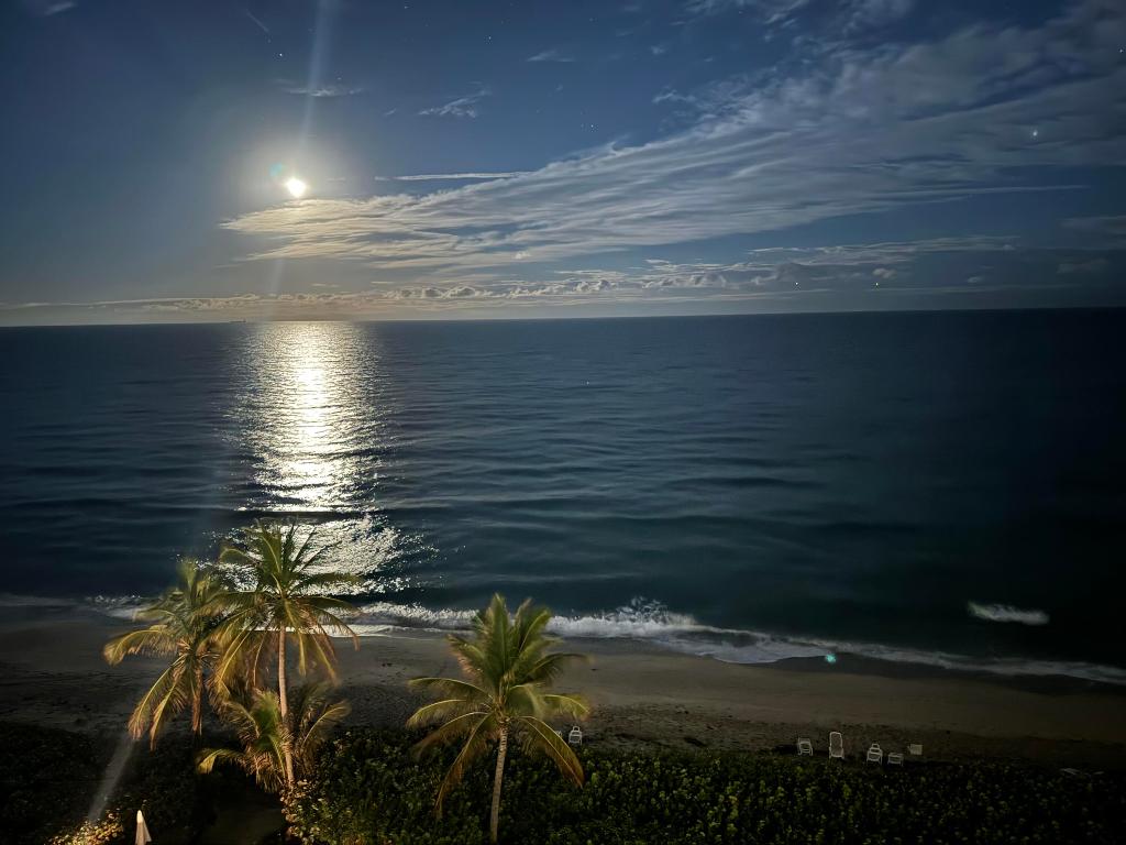 1069 Hillsboro Mile 802