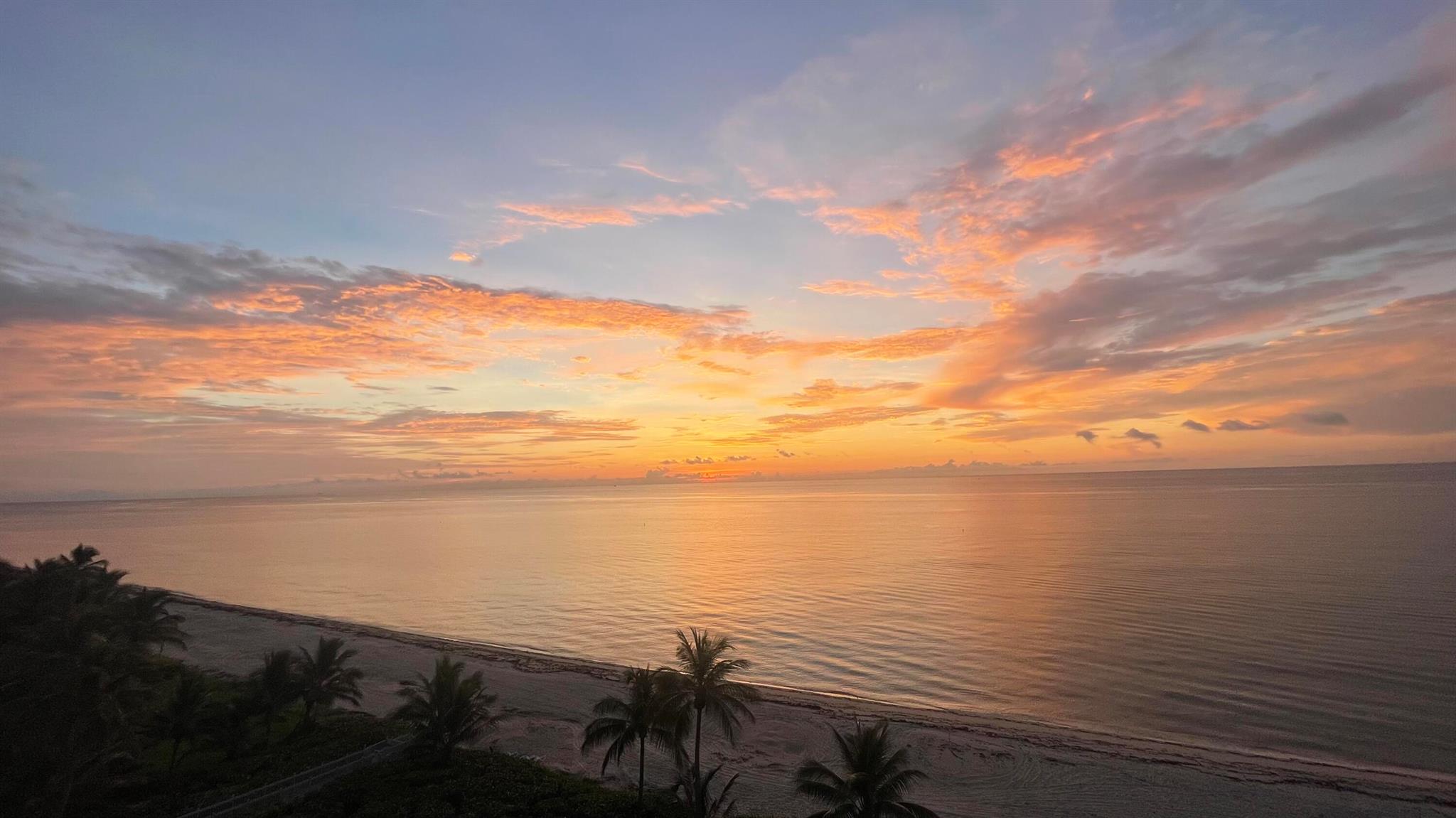 1069 Hillsboro Mile 802