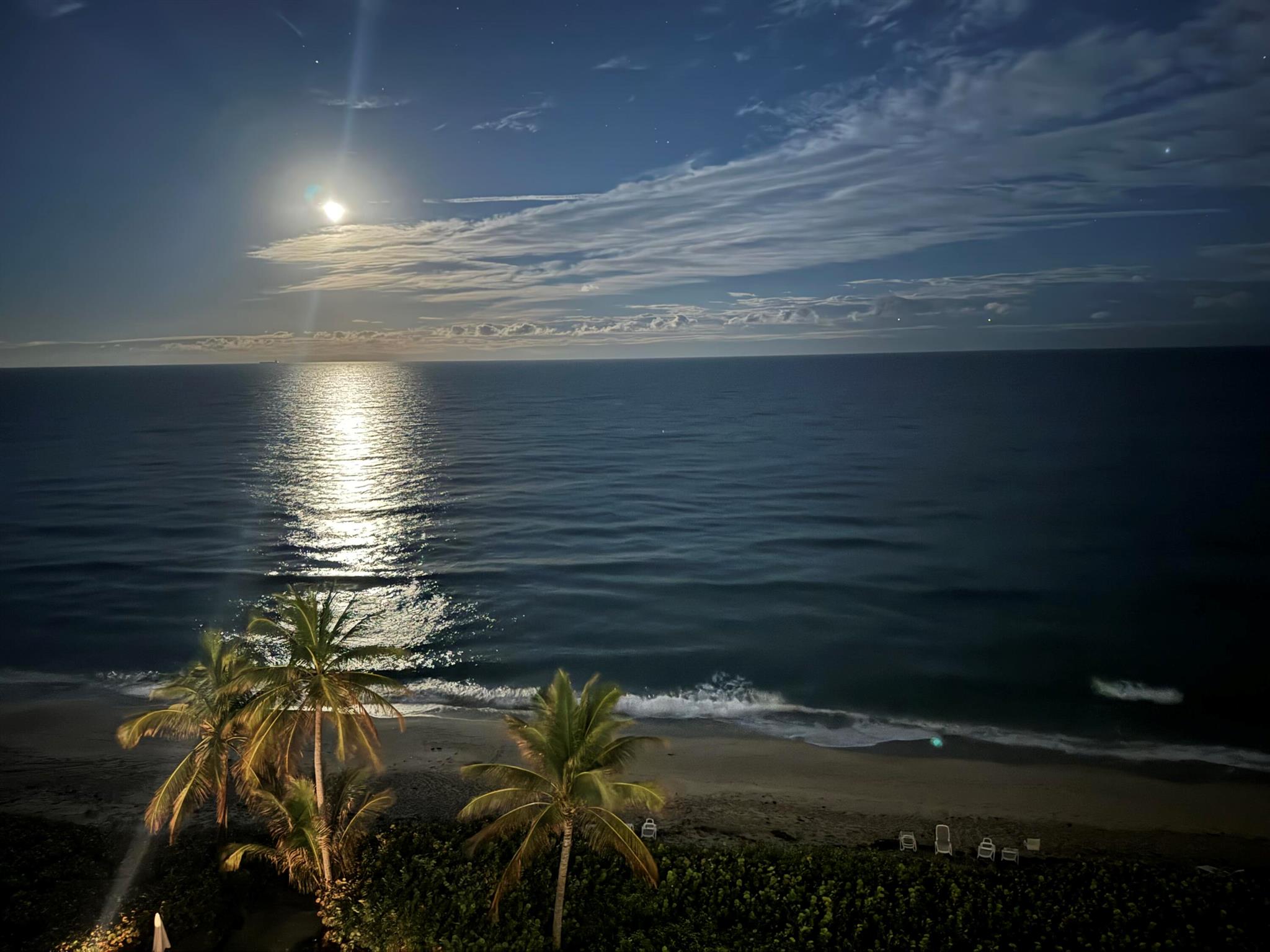 1069 Hillsboro Mile 802