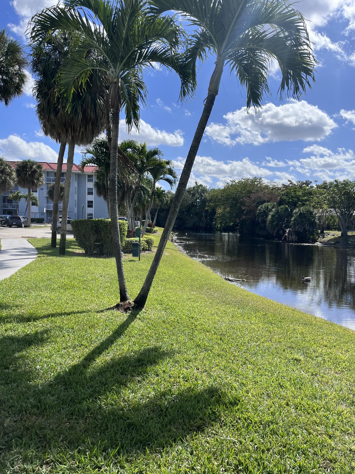 505 S Pine Island Road 407b