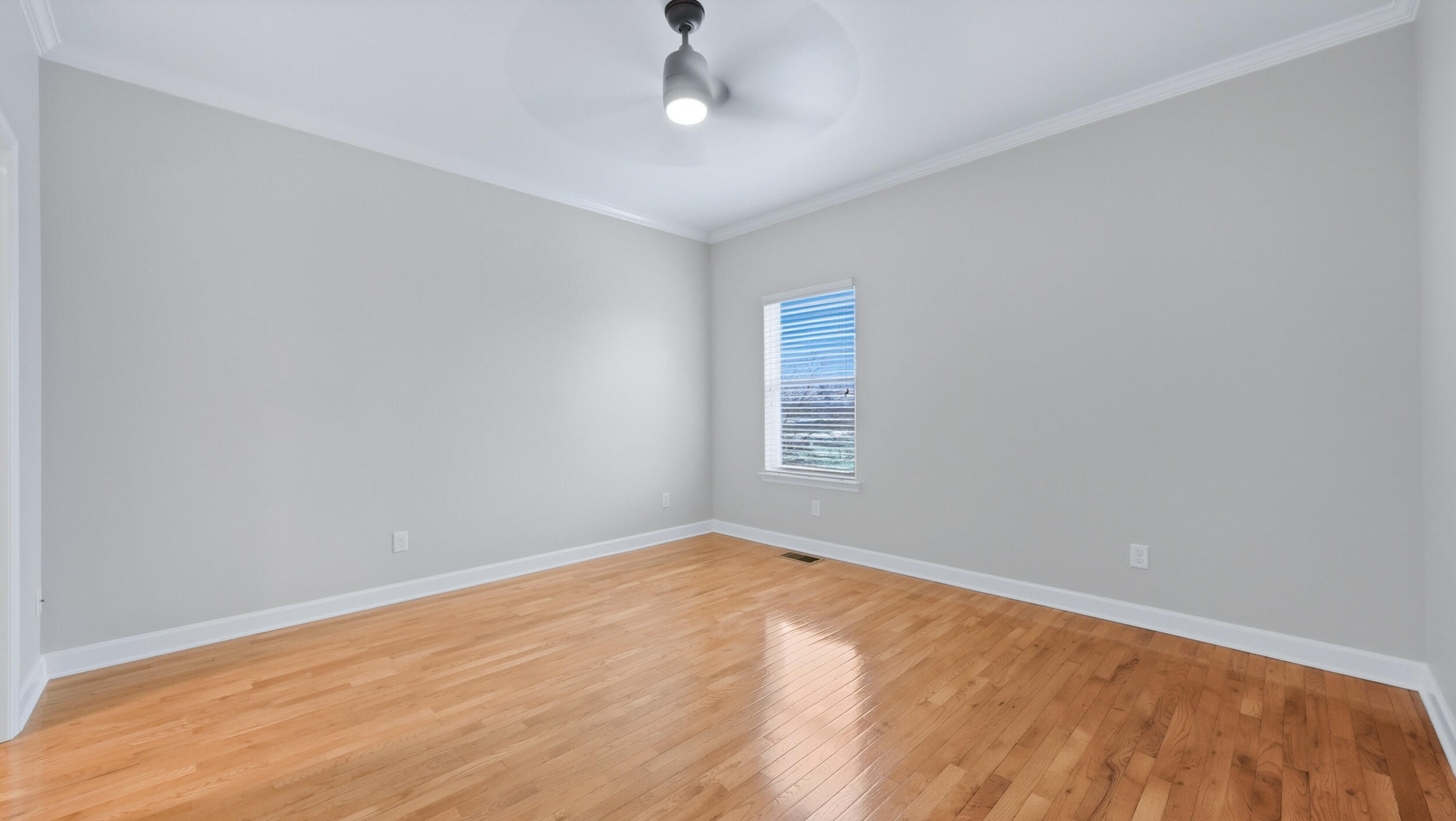 229 Delmont Street, 259