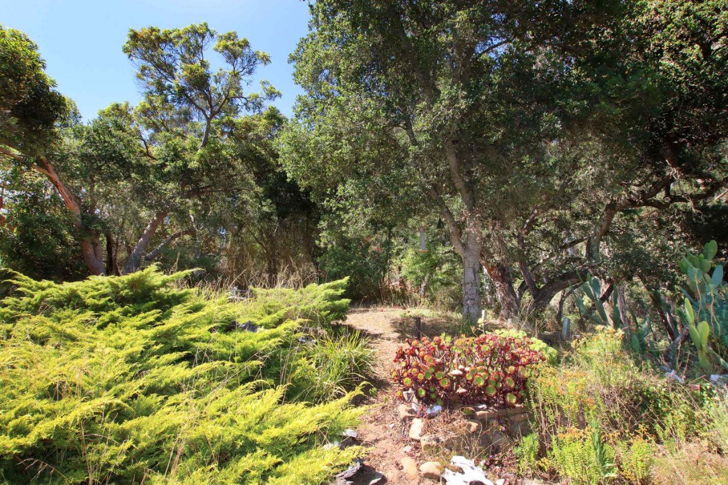 46 Valley View Road