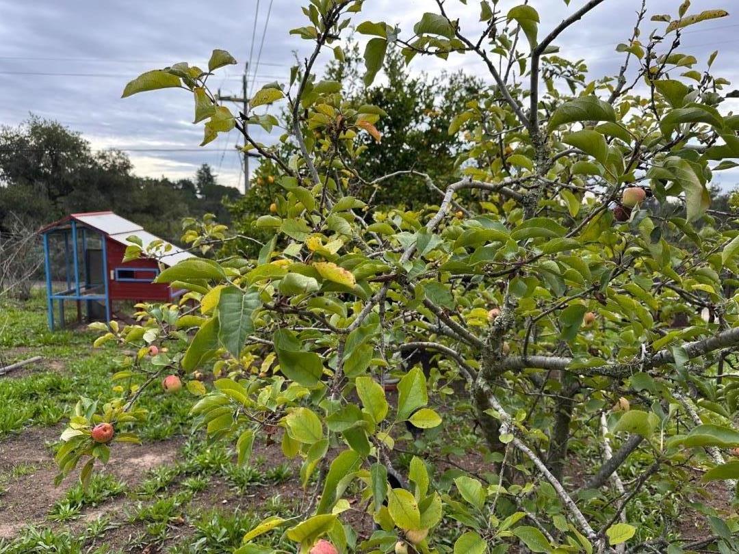 46 Valley View Drive