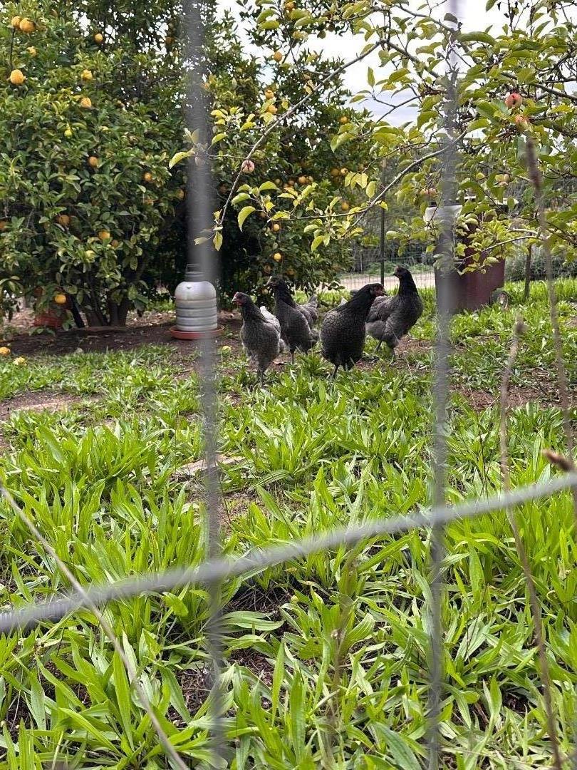 46 Valley View Drive