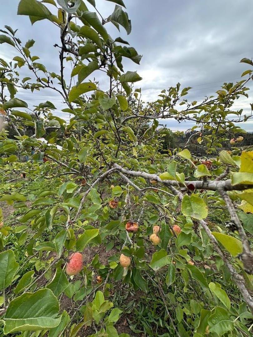 46 Valley View Drive