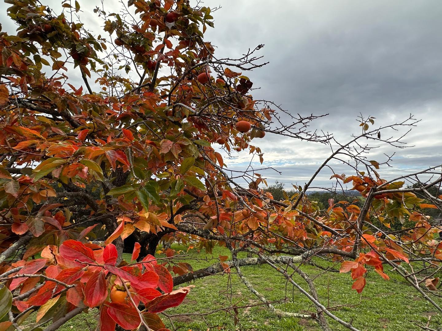 46 Valley View Drive