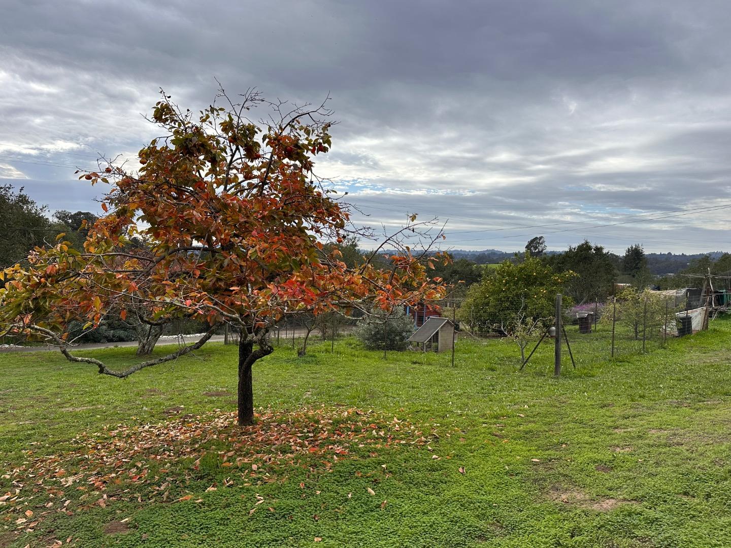 46 Valley View Drive